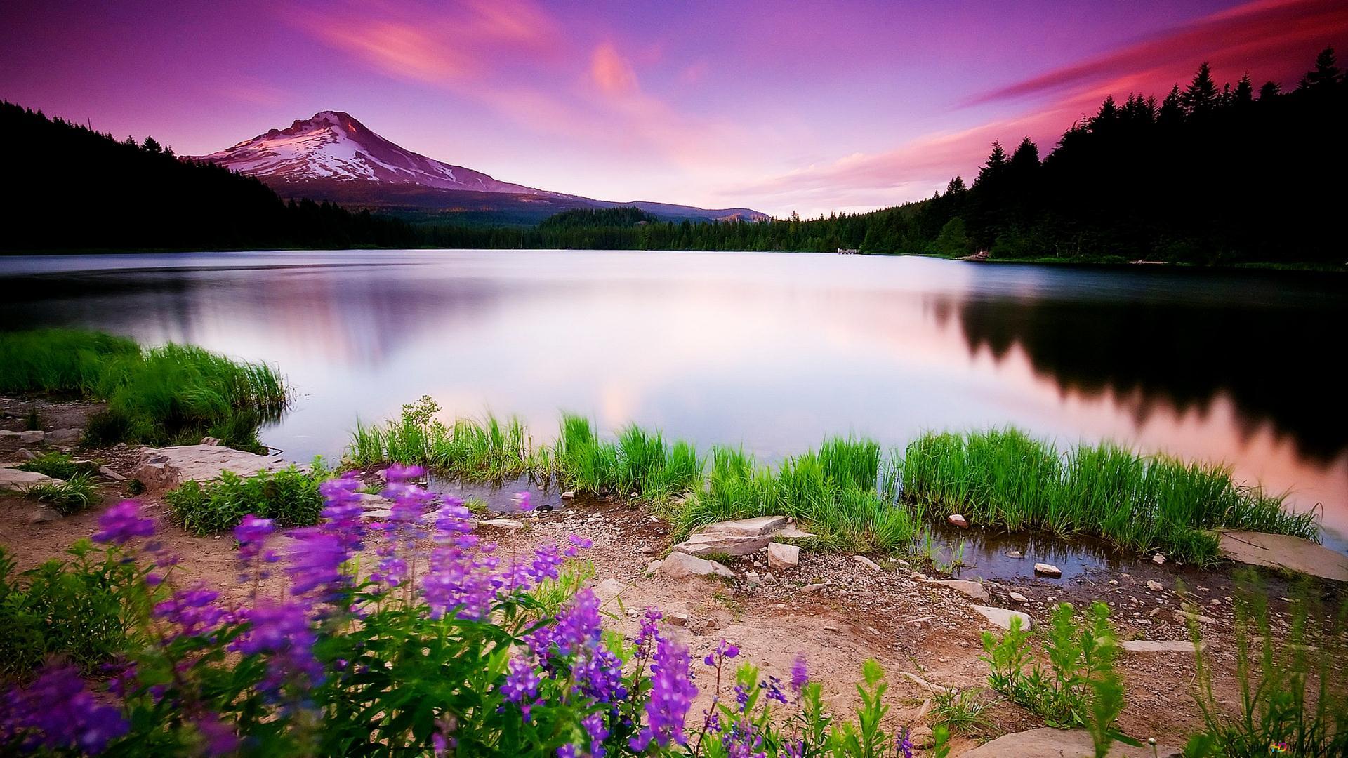 Elegant nature background front lake HD wallpaper download