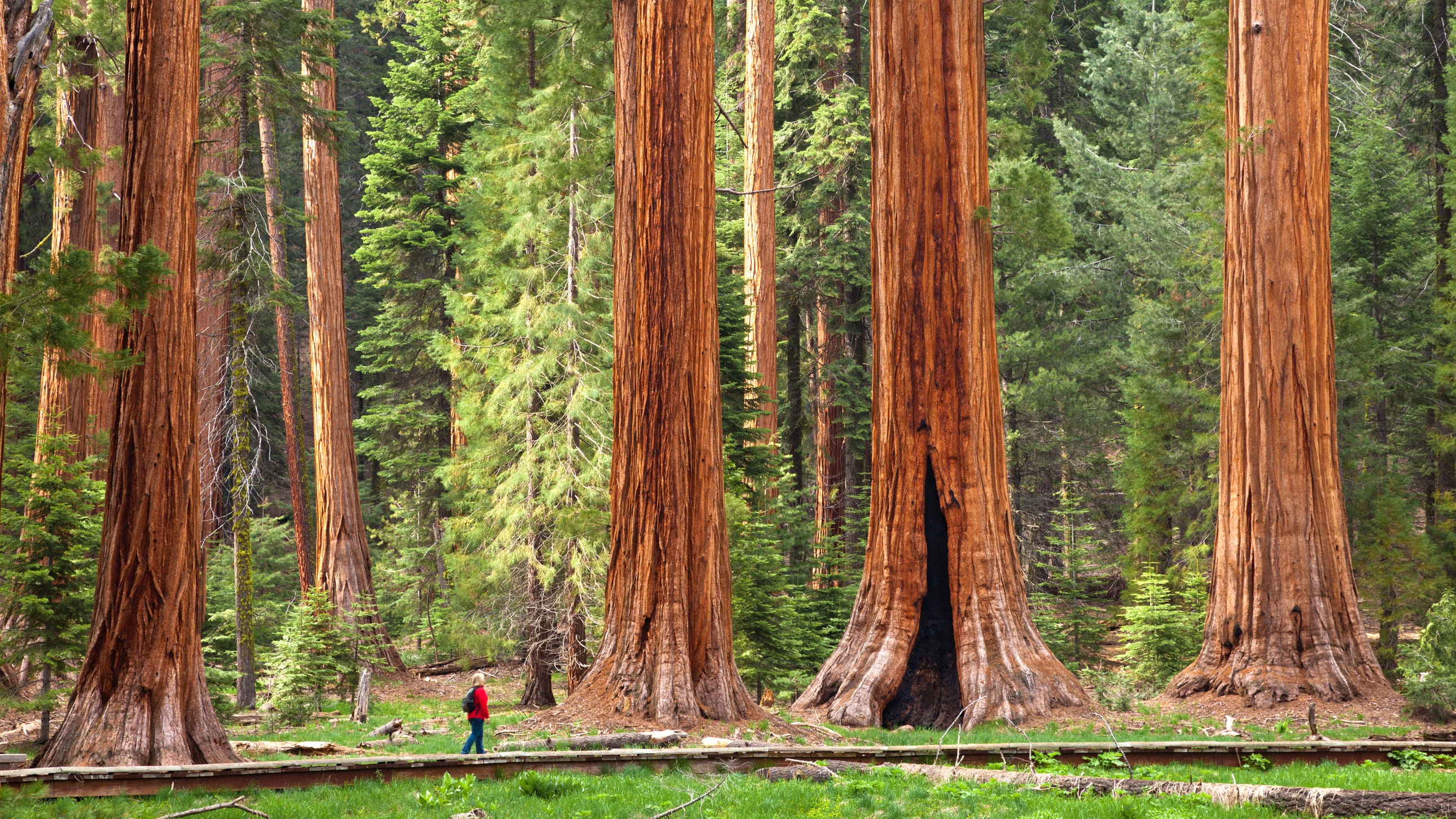 The 50 Most Beautiful Places in America. Condé Nast Traveler