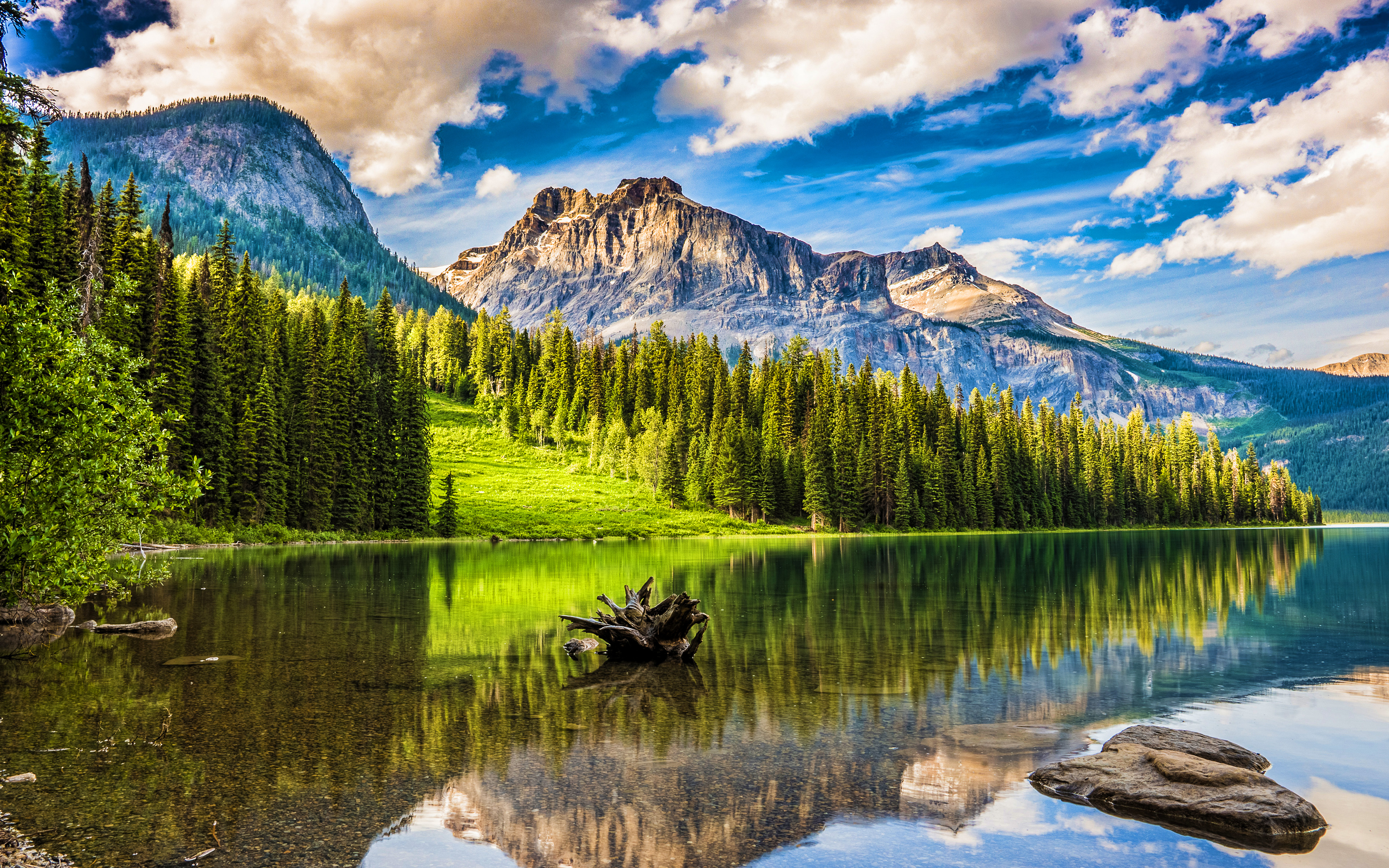 Download wallpaper Emerald Lake, 4k, North America, mountains, forest, Banff National Park, summer, Canada, Alberta, Banff, beautiful nature for desktop with resolution 3840x2400. High Quality HD picture wallpaper