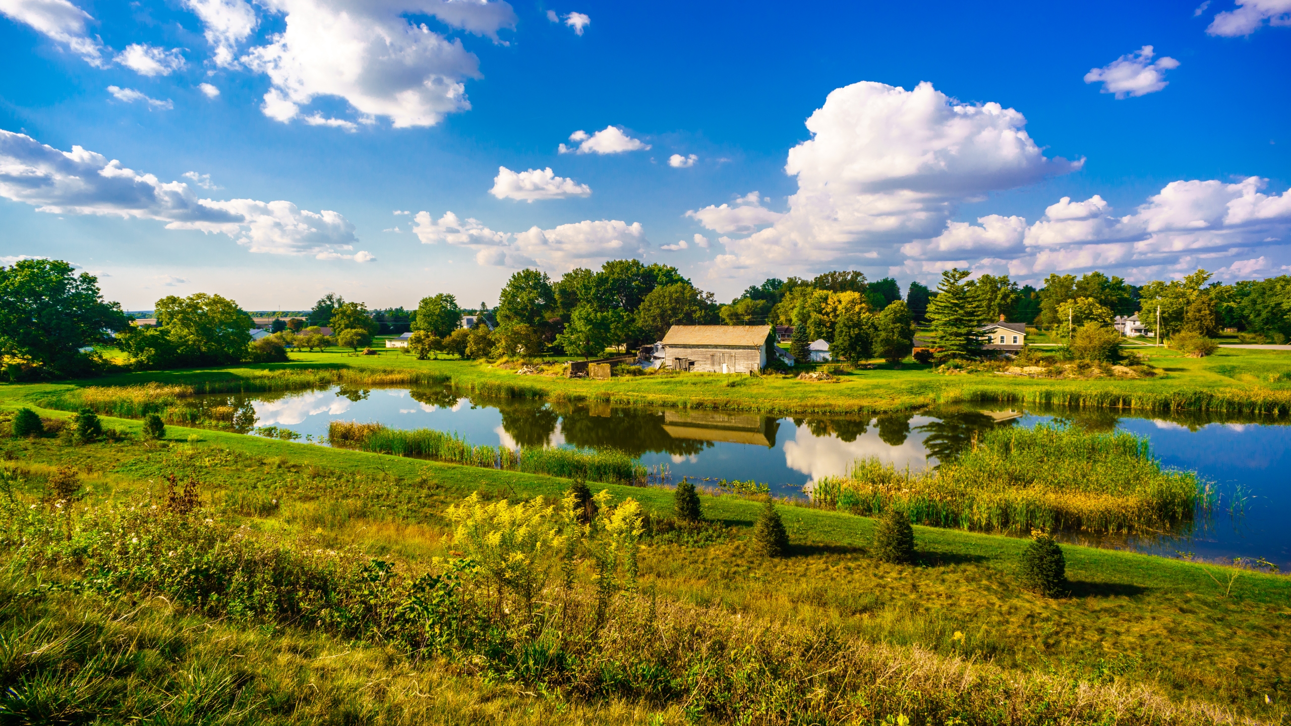 Study ranks grossest states in America