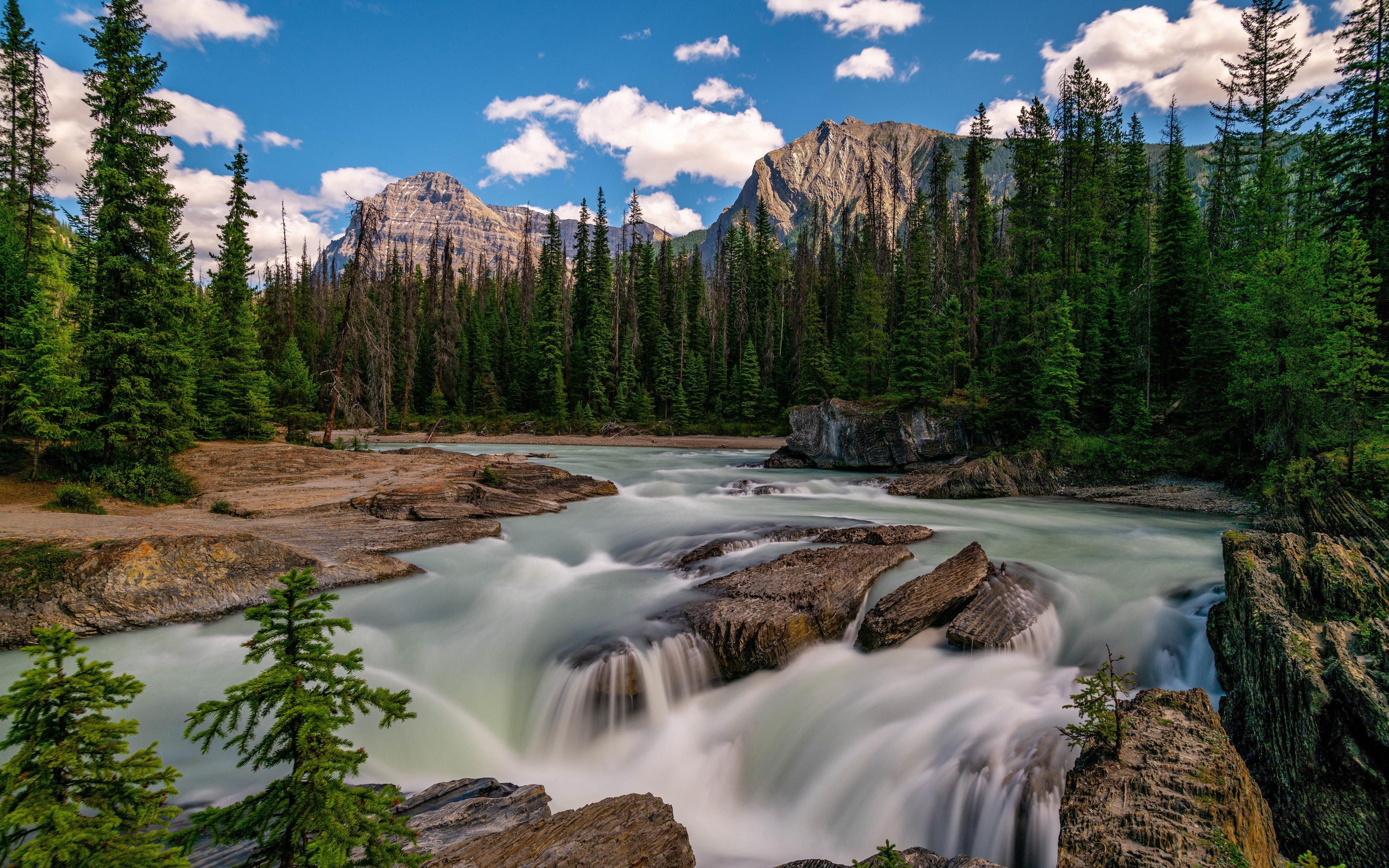 Download wallpaper Yoho National Park, river, beautiful nature, 4k, summer, British Columbia, Canada, forest, North America, HDR for desktop with resolution 3840x2400. High Quality HD picture wallpaper