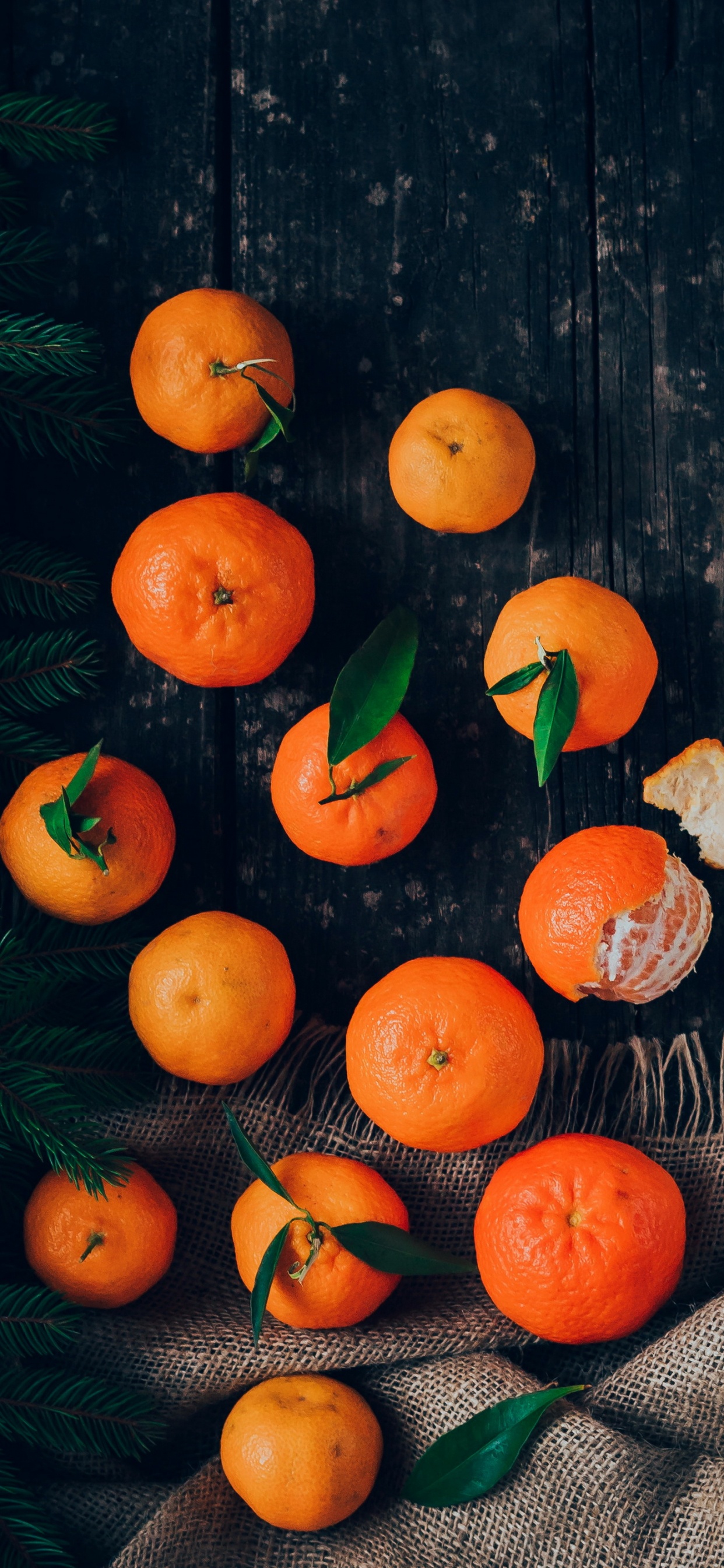 Orange Food Wallpapers - Wallpaper Cave