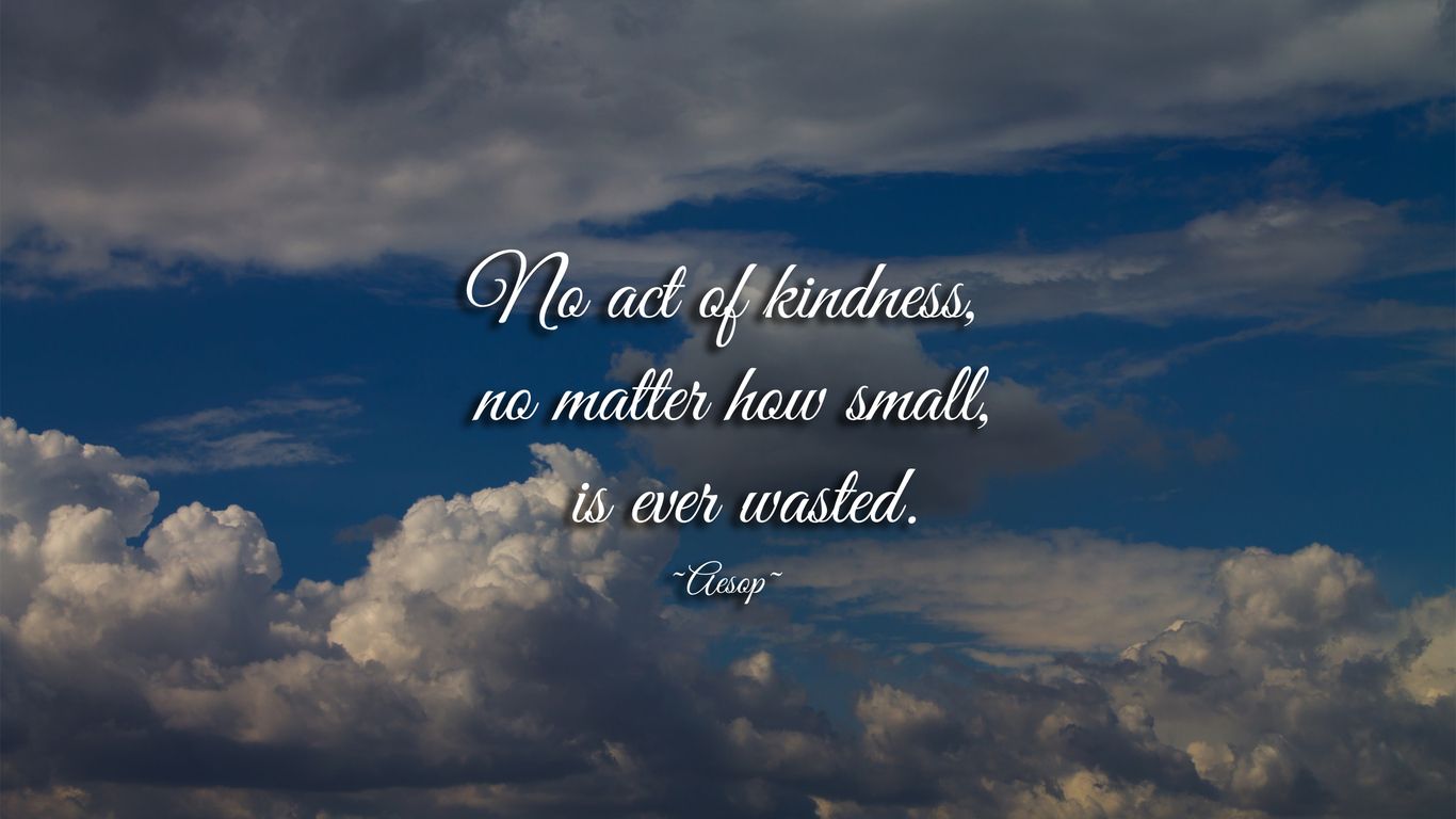 Kindess. Act of kindness quotes, Kindness video, Kindness