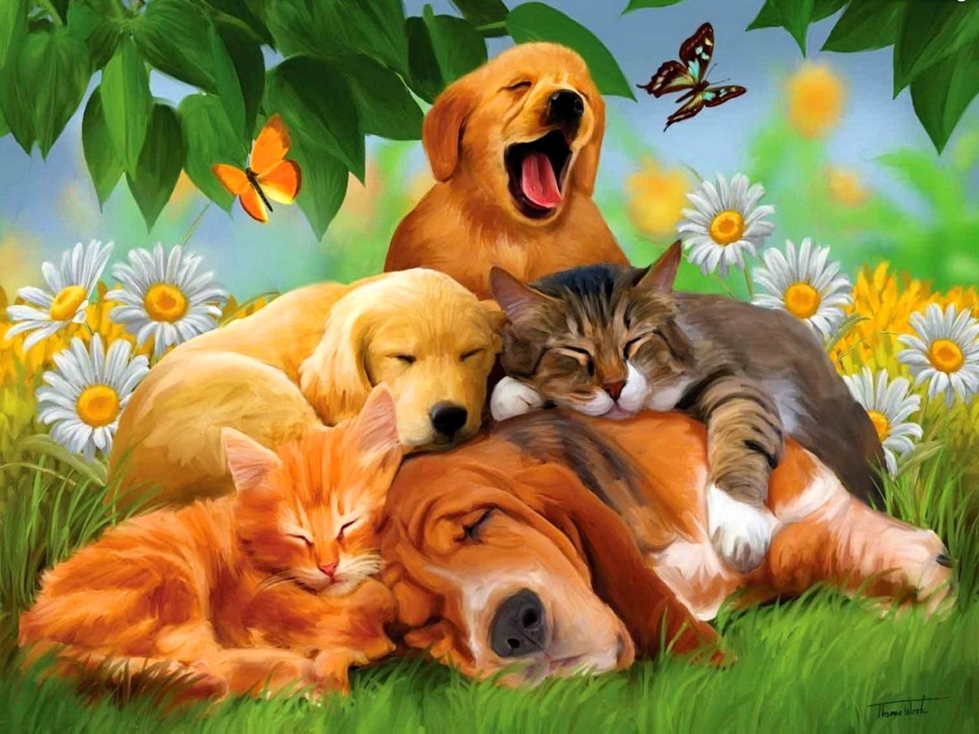 Cat and dogs Wallpaper Download