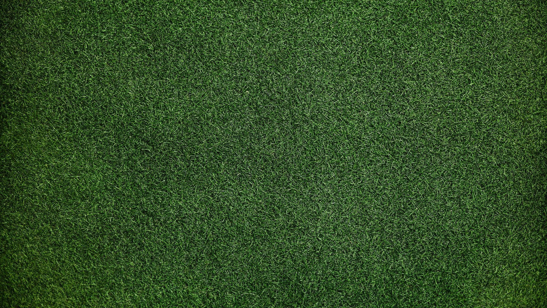 Download Dark Green Grass Texture Wallpaper