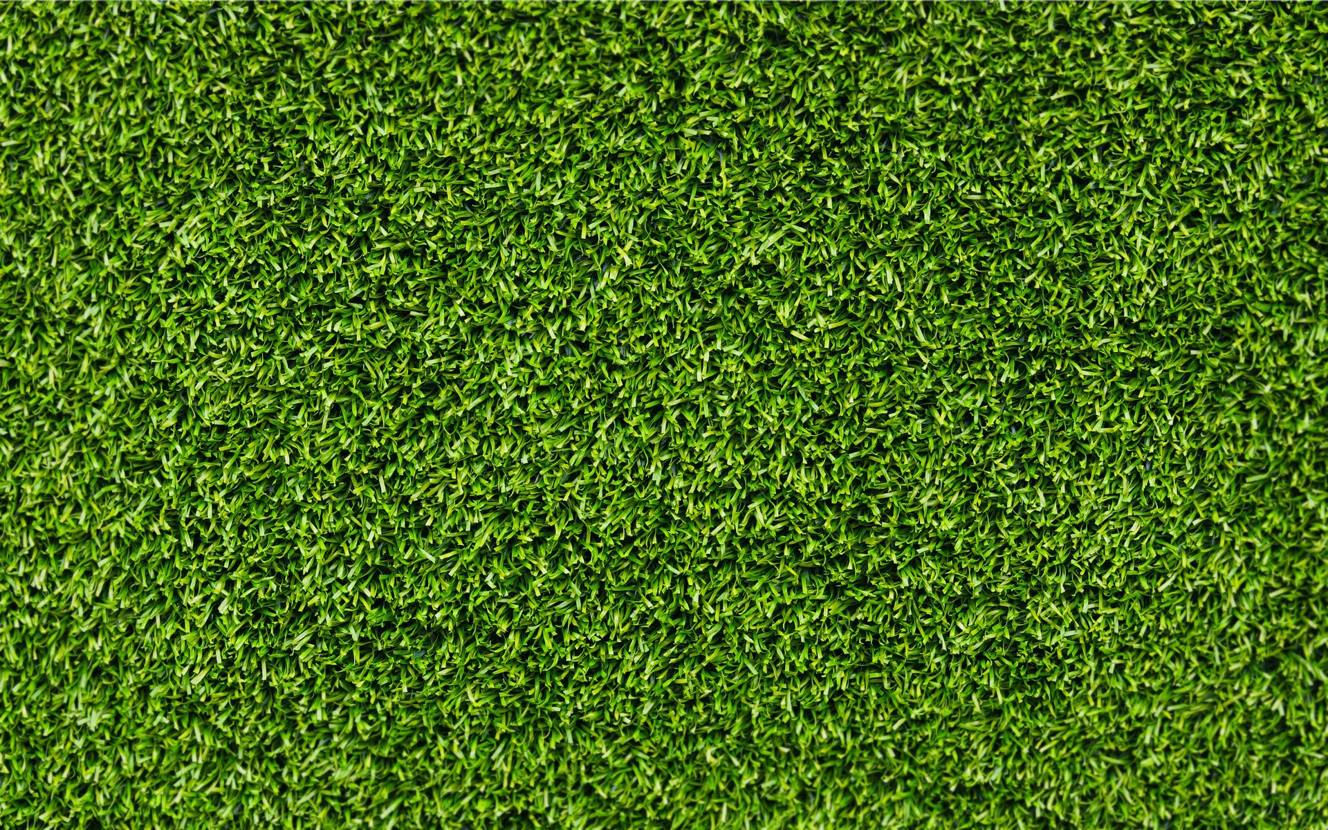 Grass Textured Wallpaper