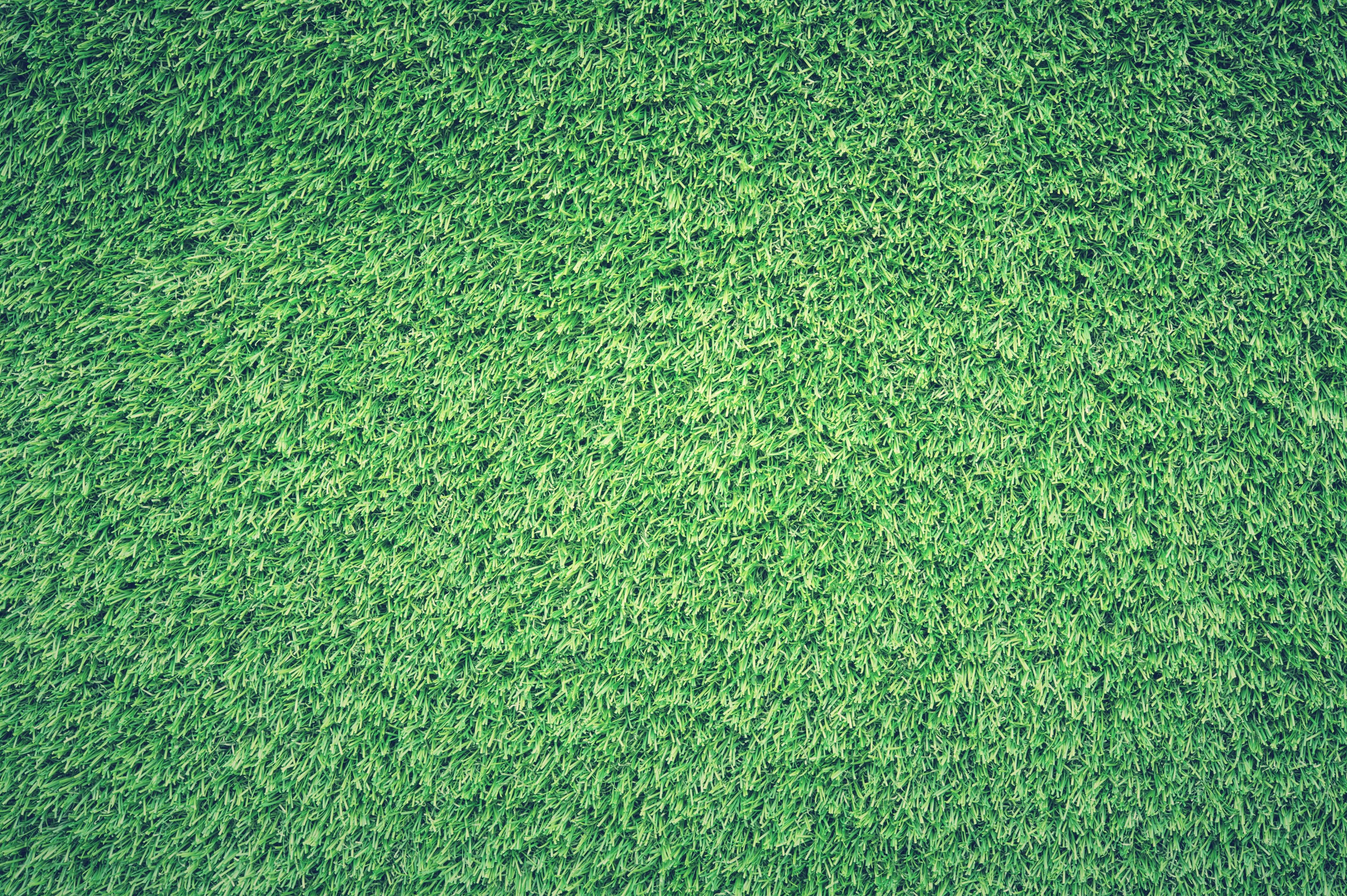 background, texture, green, field, grass, lawn Gallery HD Wallpaper