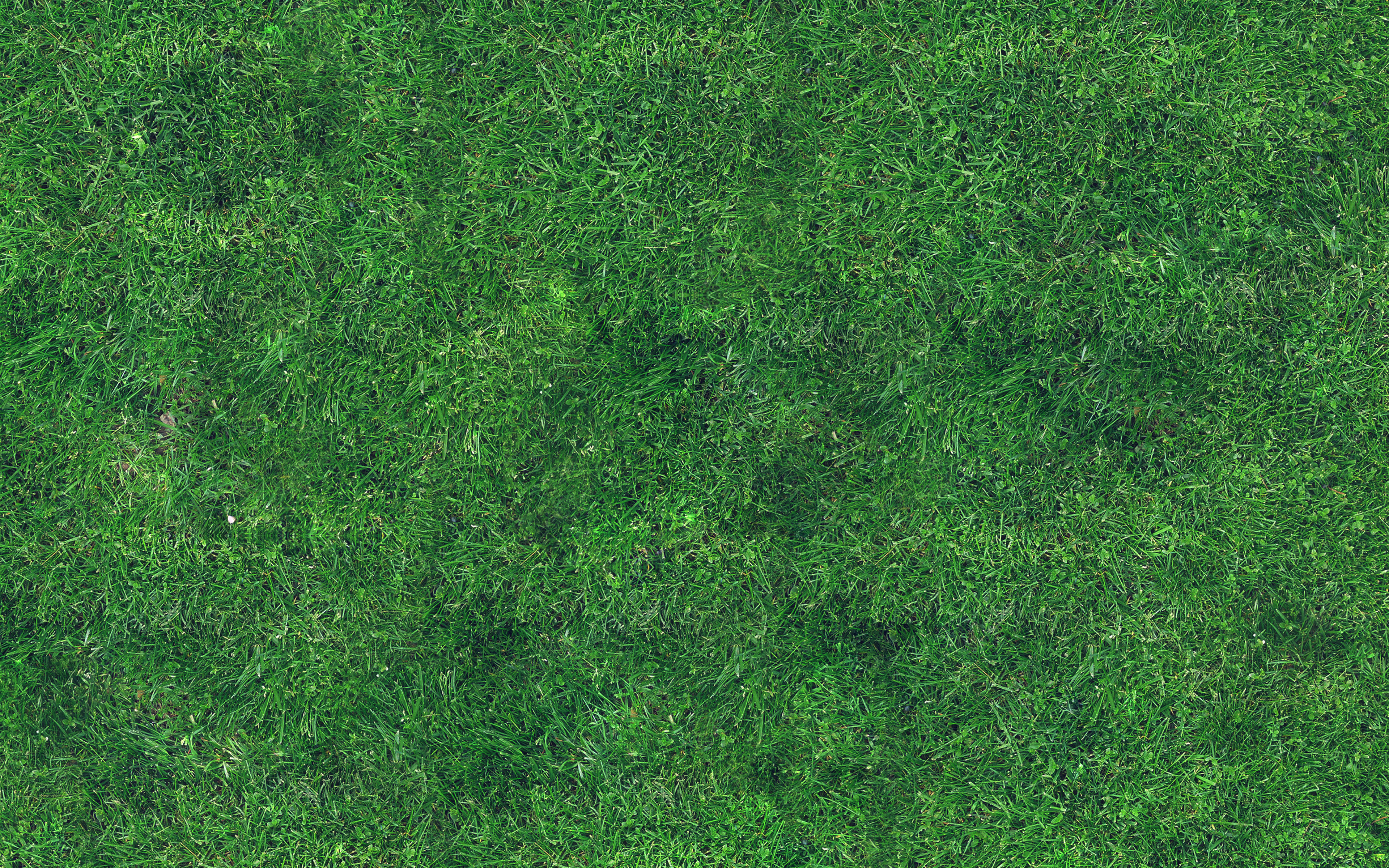 wallpaper for desktop, laptop. grass texture nature pattern
