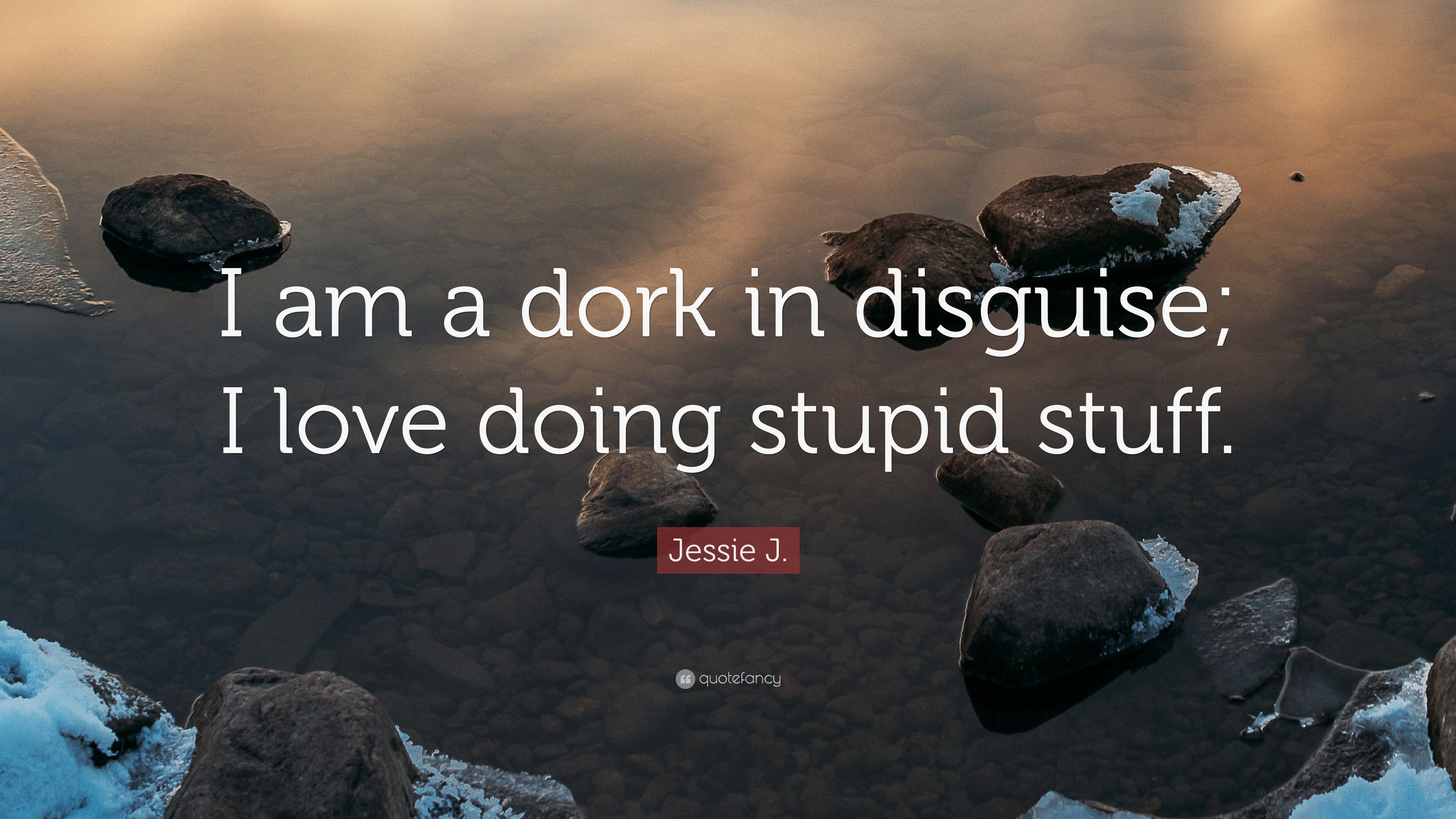 Jessie J. Quote: “I am a dork in disguise; I love doing stupid stuff.”