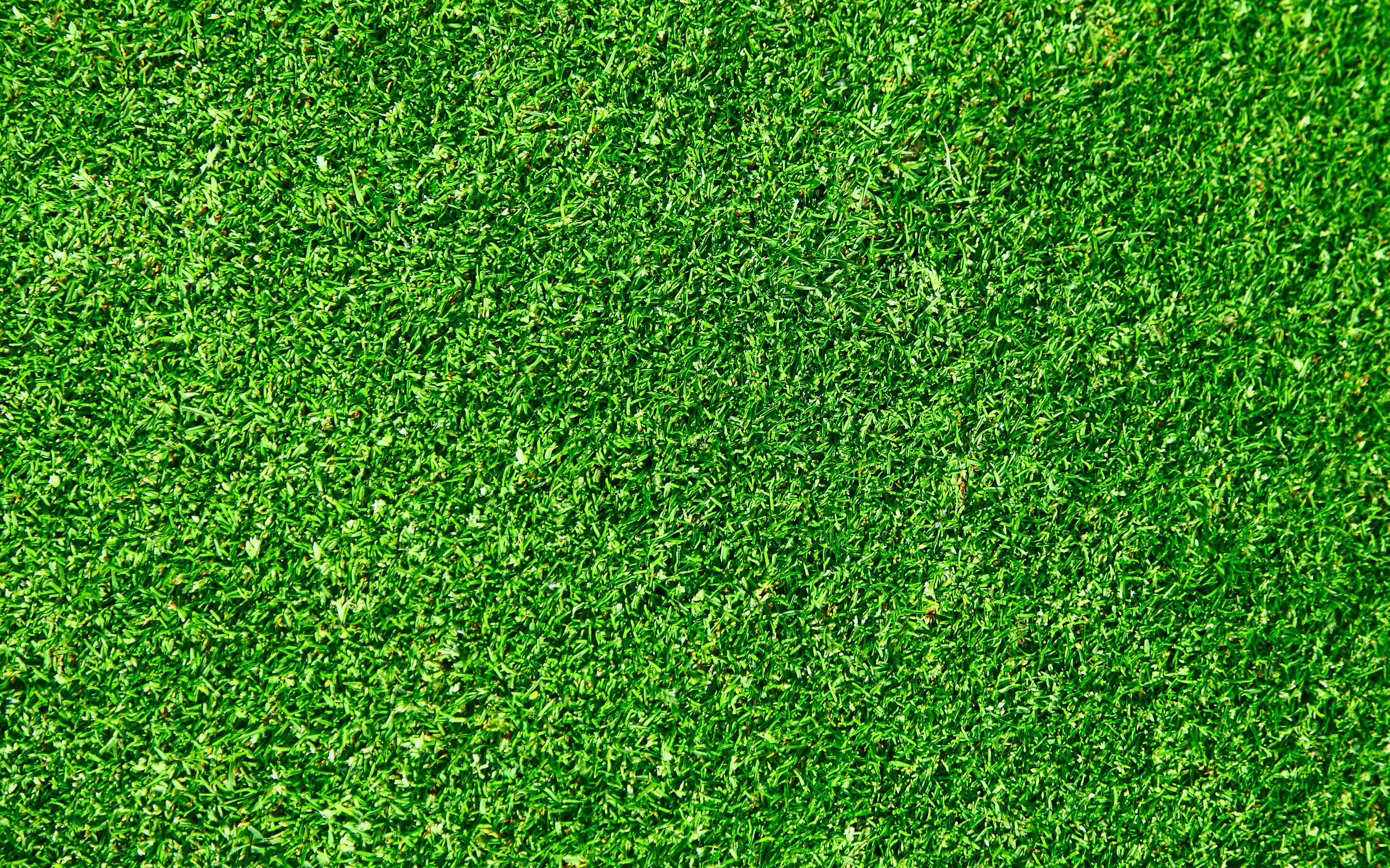 Download Wallpaper Green Grass Texture, 4k, Green Background, Grass Textures, Green Grass, Close Up, Macro, Grass From Top, Grass Background For Desktop With Resolution 3840x2400. High Quality HD Picture Wallpaper
