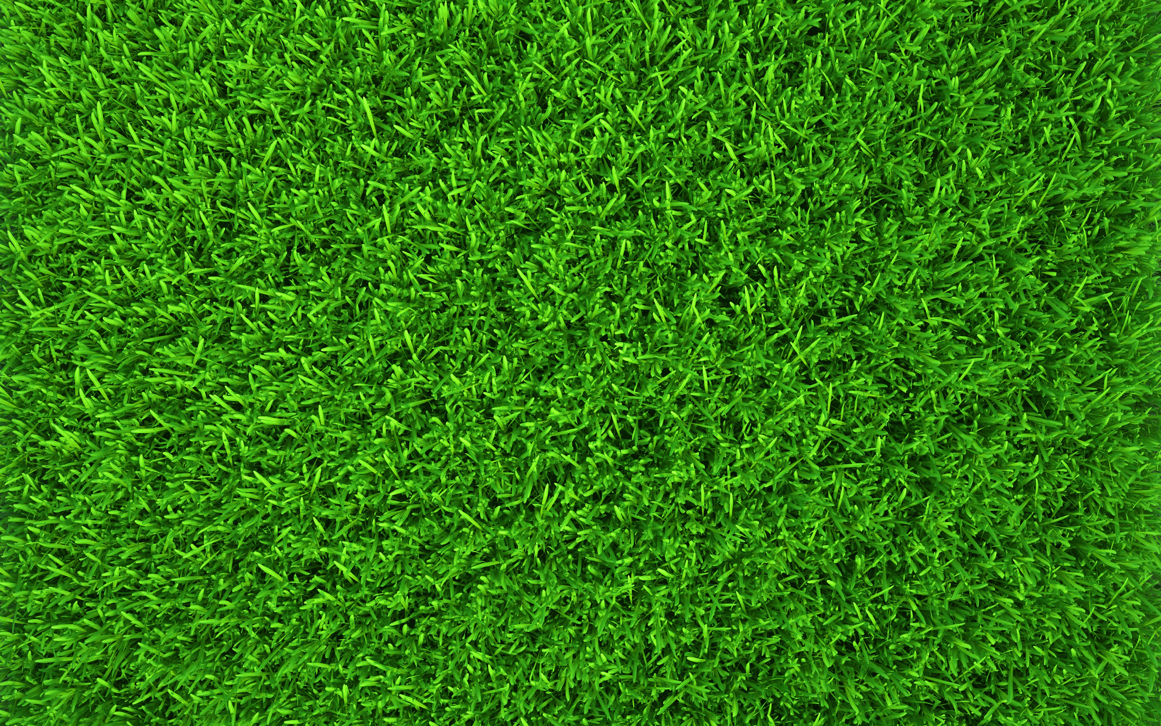Download Wallpaper Green Grass Texture, 4k, Summer, Macro, Green Background, Grass Textures, Green Grass, Close Up, Grass From Top, Grass Background For Desktop With Resolution 3840x2400. High Quality HD Picture Wallpaper