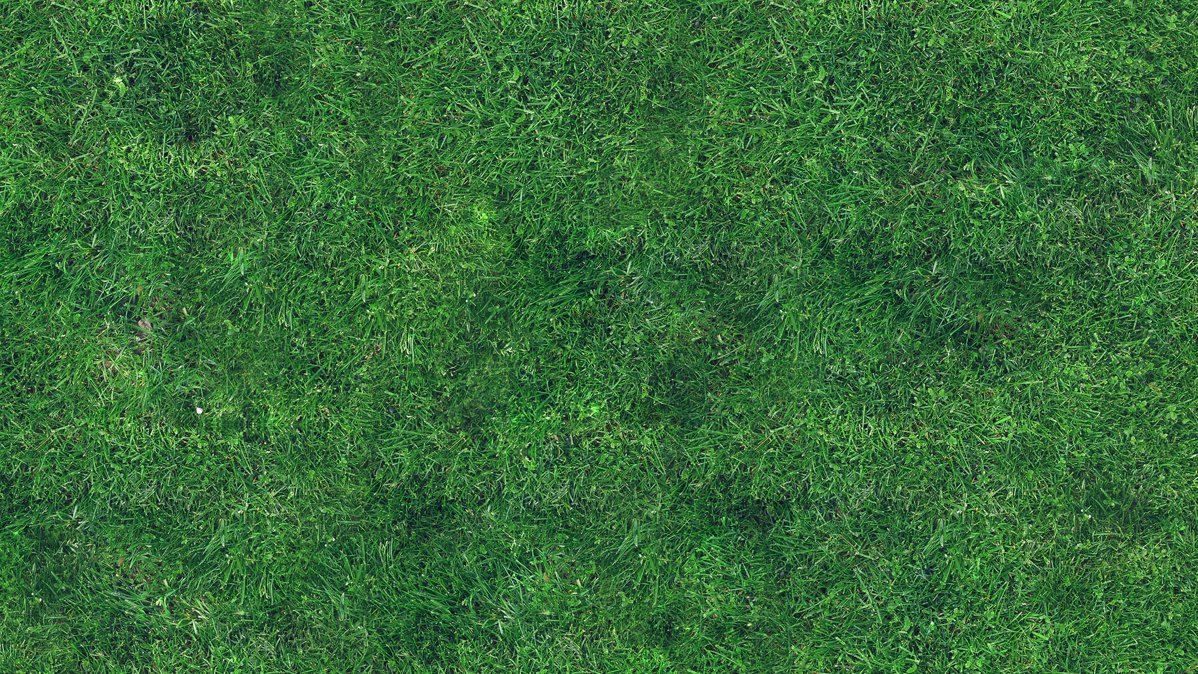 Free photo: Grass texture, Green, Lawn