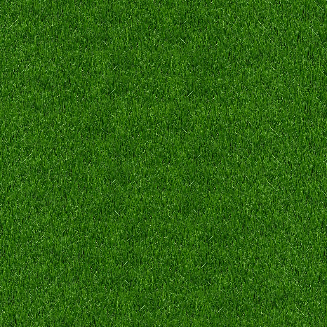 Grass texture free image