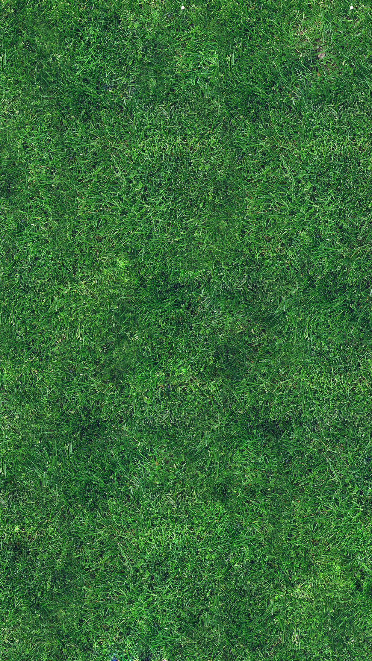 grass texture nature pattern