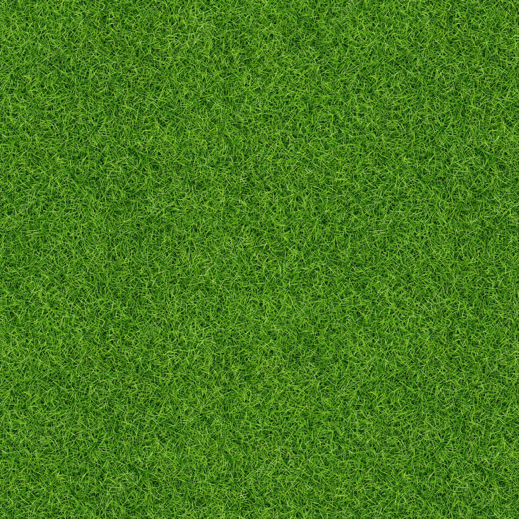 Seamless Grass Texture Image