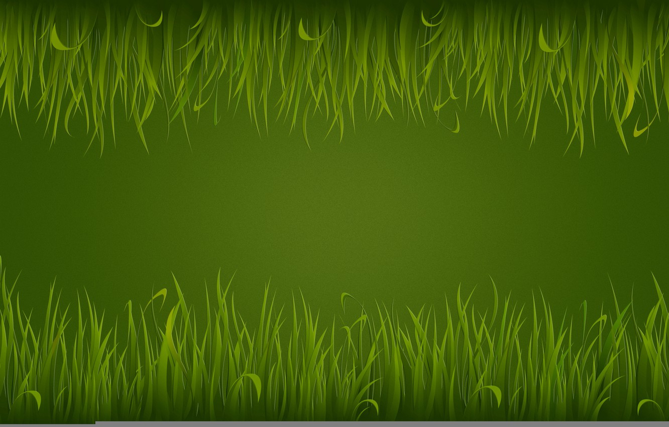 Wallpaper grass, green, green, light, texture image for desktop, section текстуры