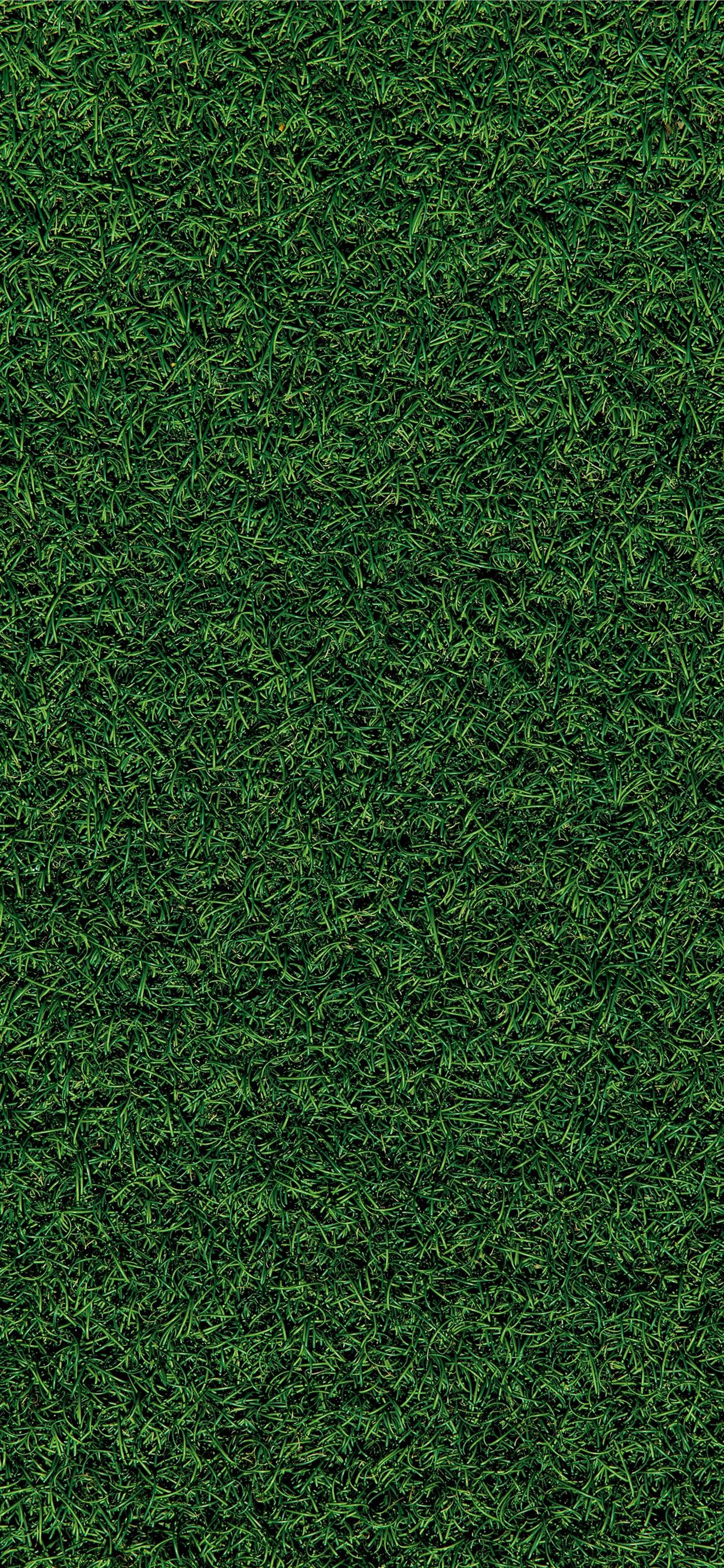 green grass field during daytime iPhone Wallpaper Free Download