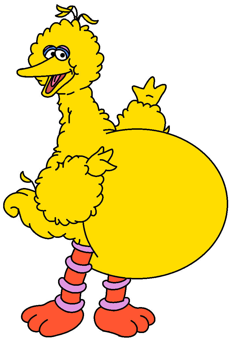 Download Fat Big Bird Wallpaper