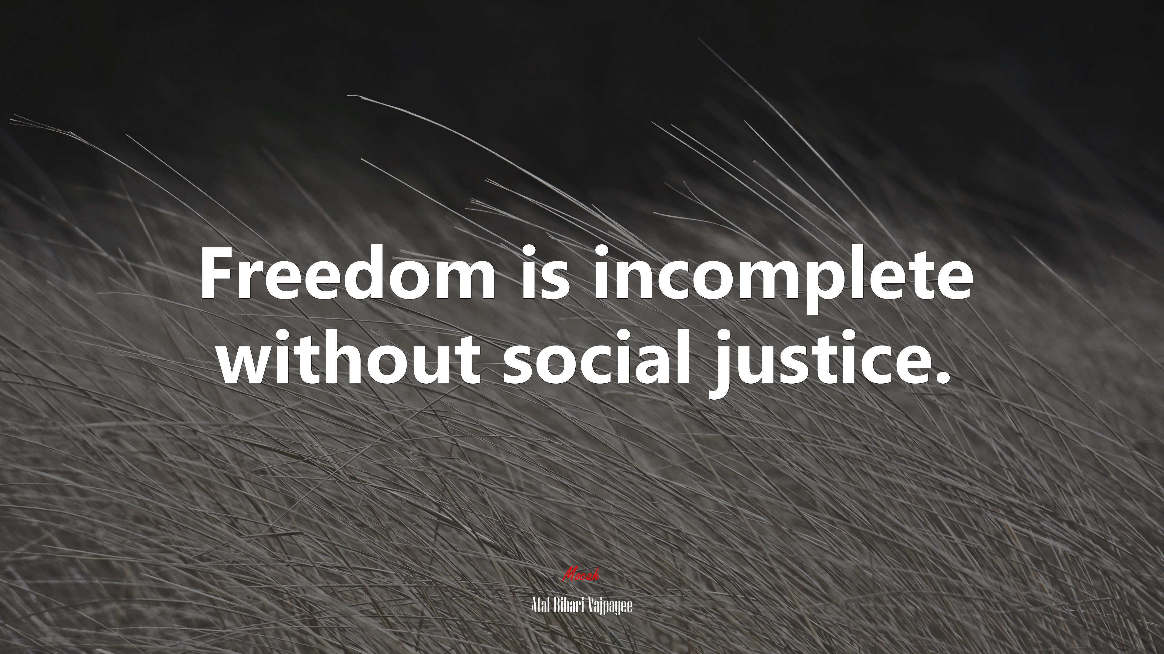 Social Justice Wallpapers - Wallpaper Cave