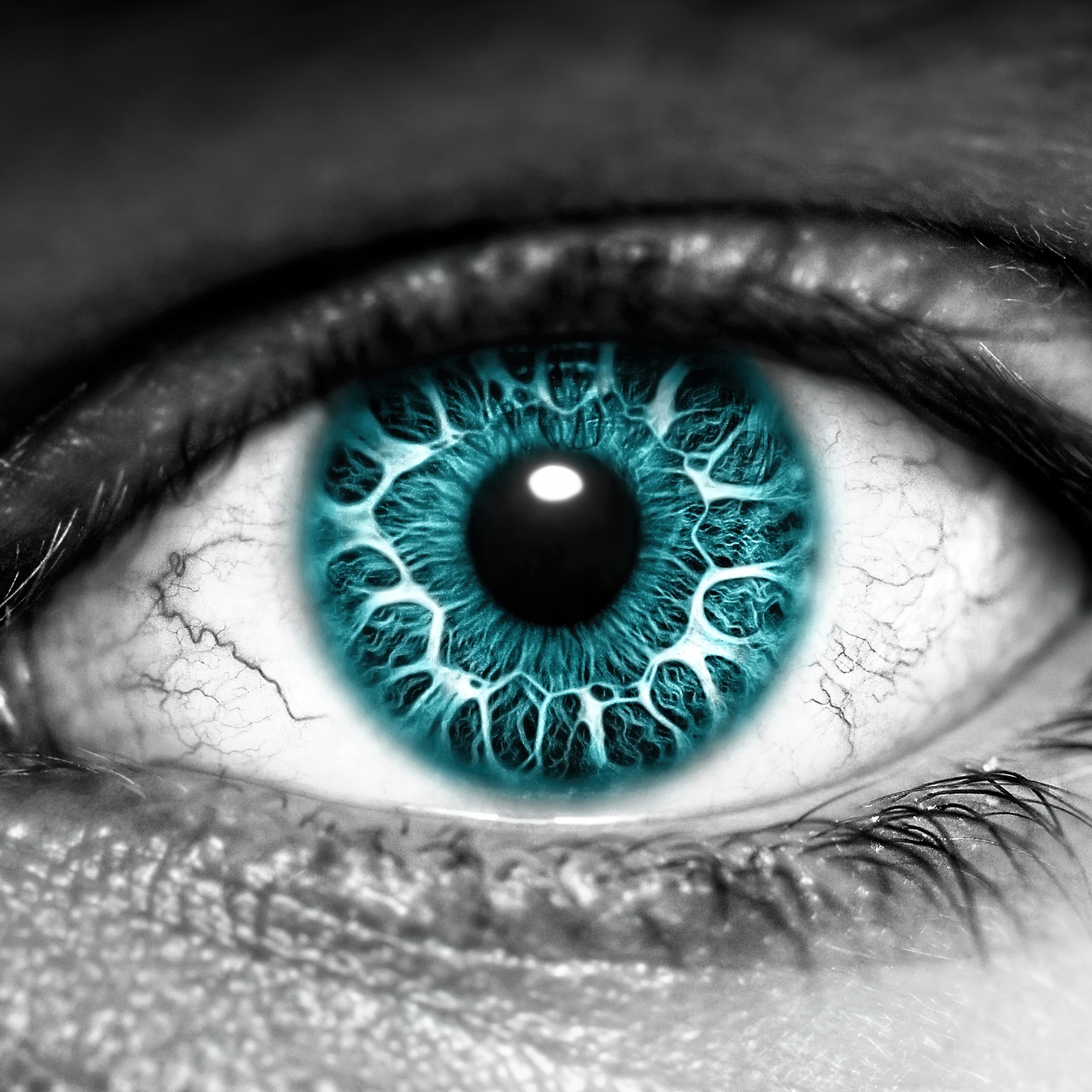 Eye Wallpaper 4K, Iris, Blue eyes, Photography