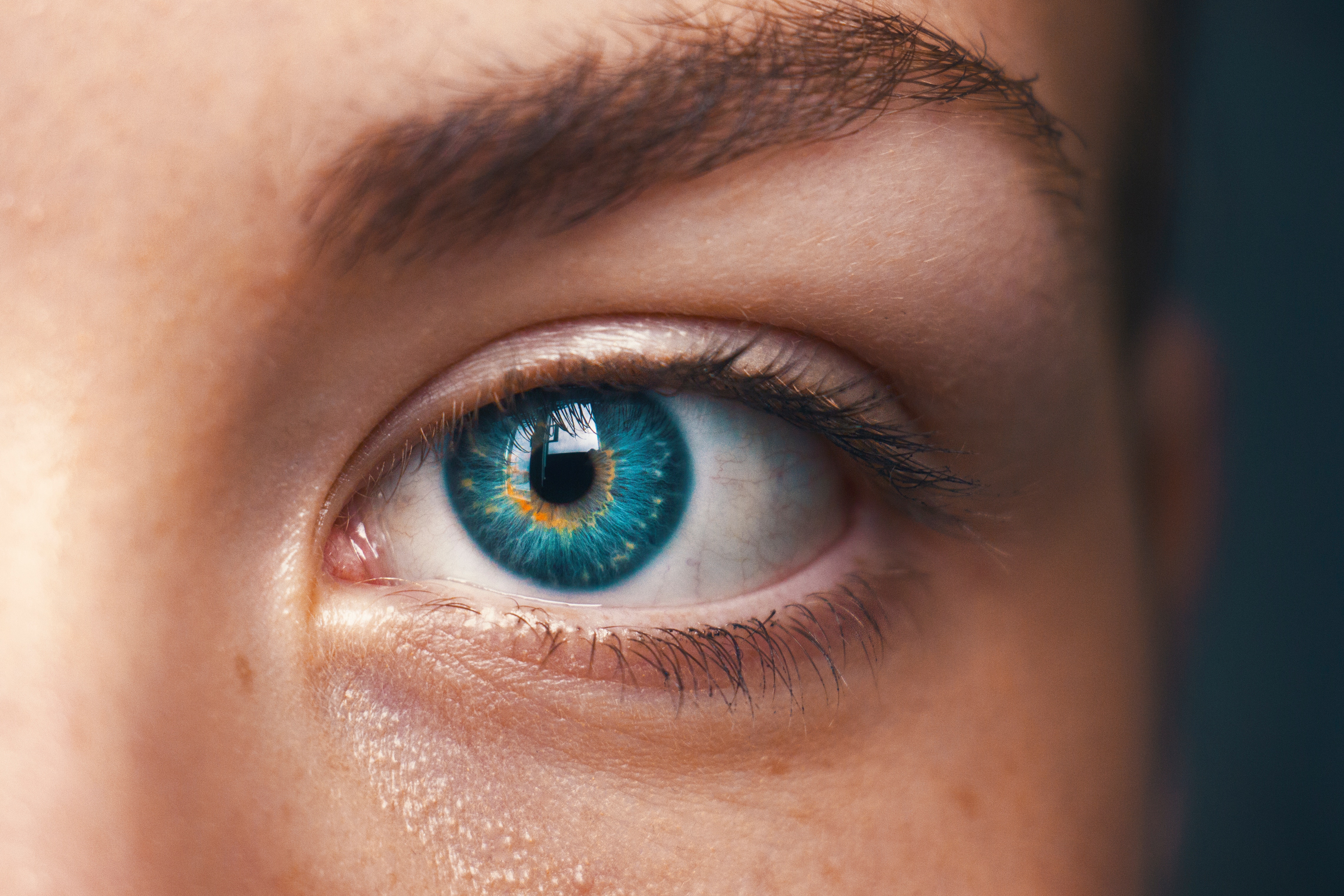 iris, pupil, eyelashes, eye, view, eyeball, vision Gallery HD Wallpaper