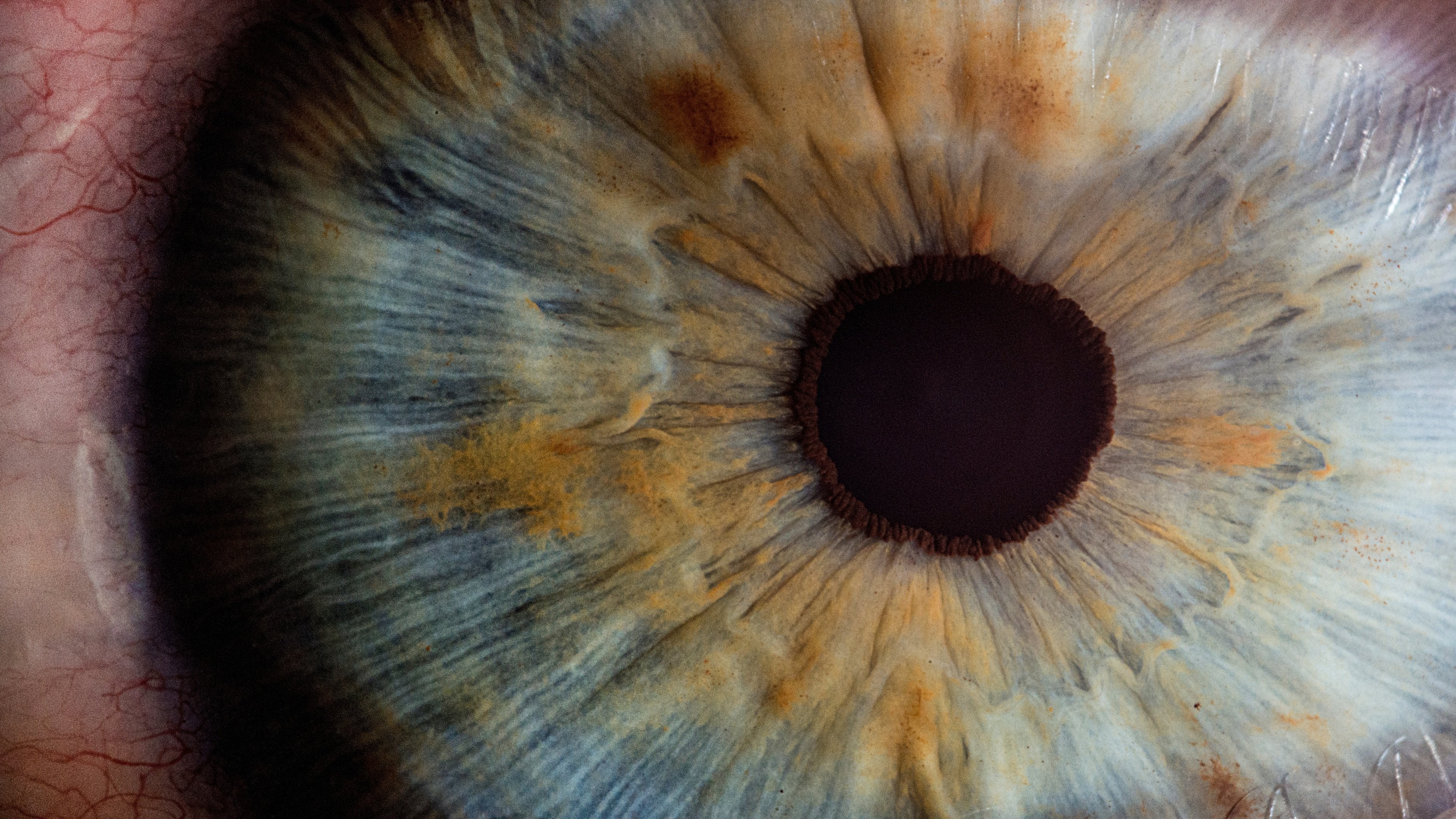 Eye Pupil Close Up 4K Wallpaper