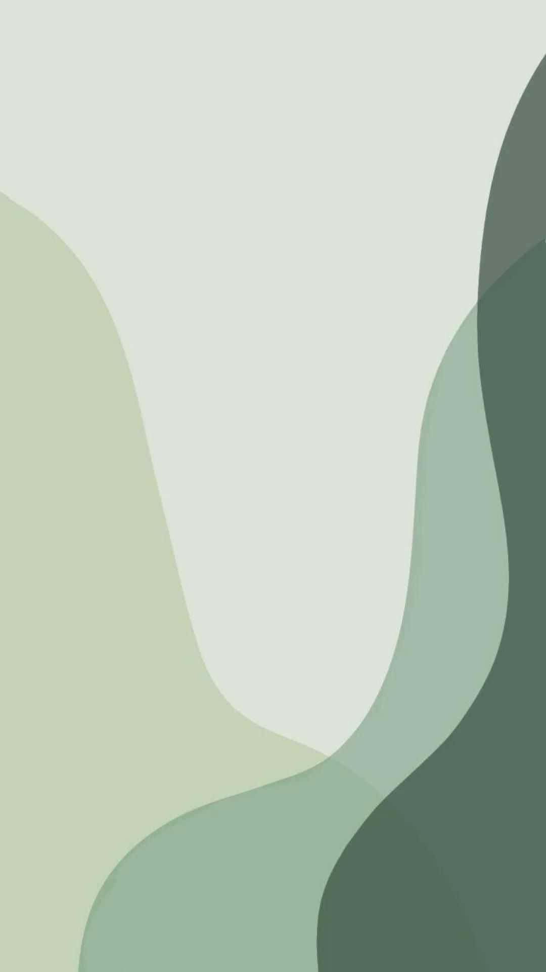 Free Cute Sage Green Wallpaper Downloads, Cute Sage Green Wallpaper for FREE