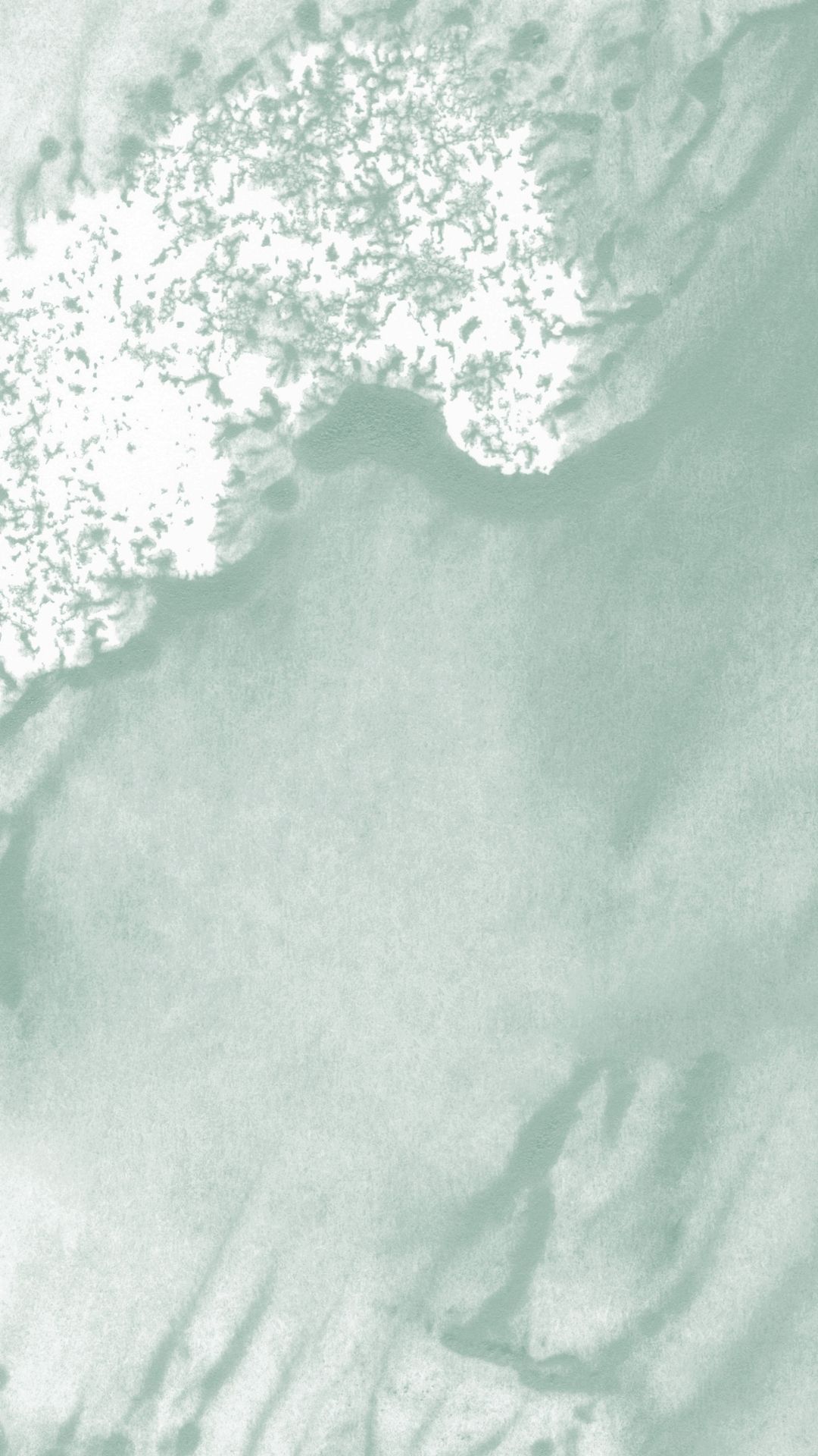 Free Sage Green Aesthetic Wallpaper For Your Phone Or IG!​