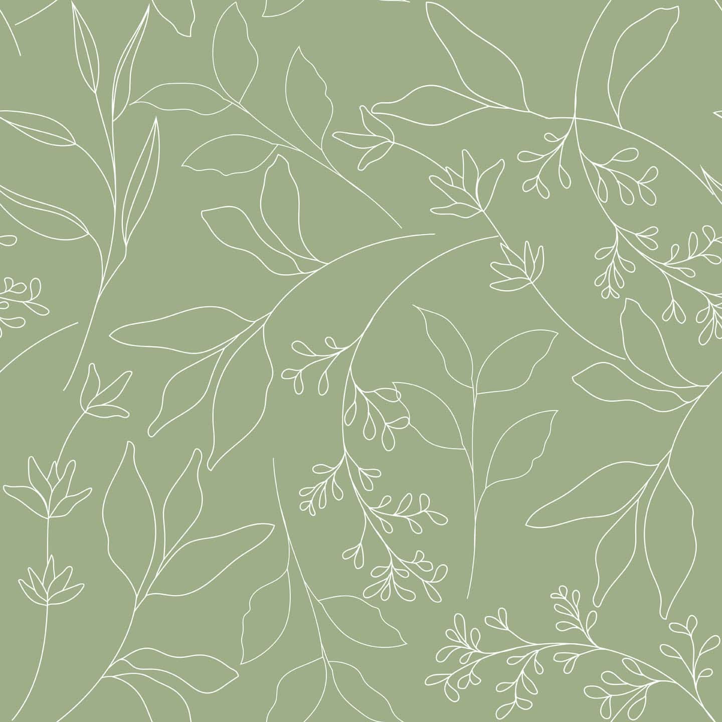 Aesthetic White And Sage Green Wallpapers Wallpaper Cave
