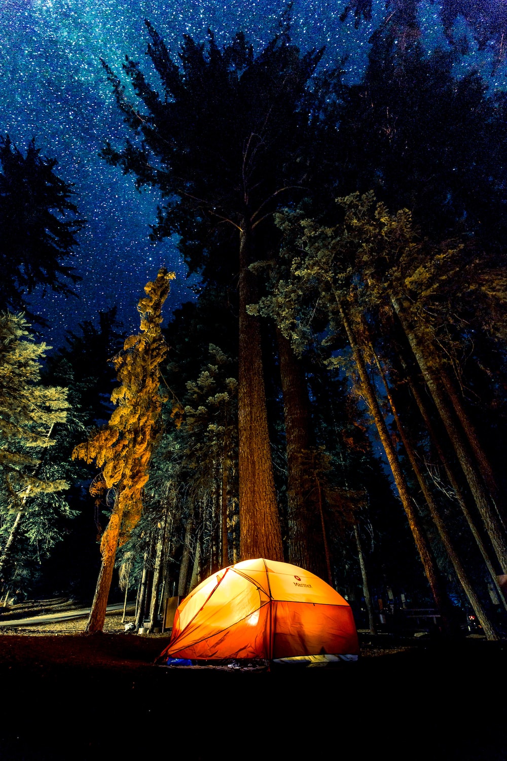 camping in forest during nightime photo