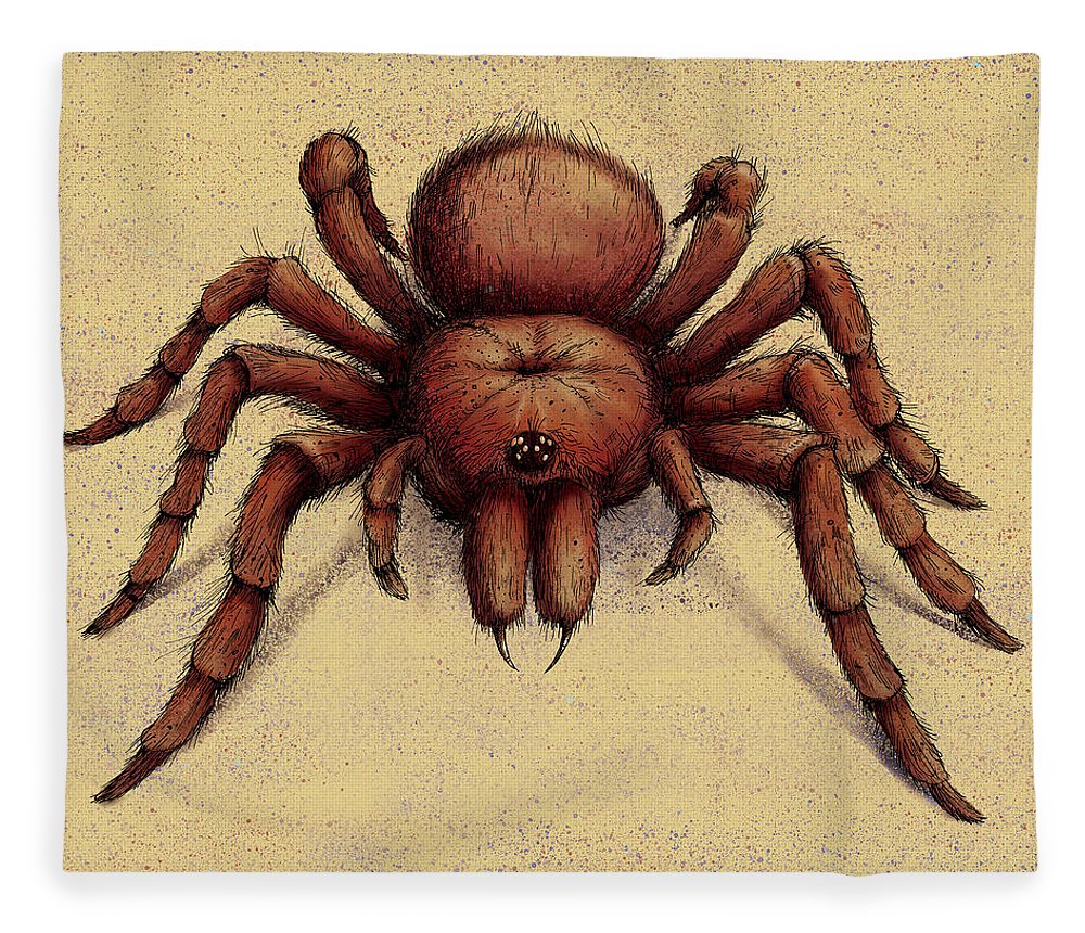 Goliath Birdeater Tarantula Spider Fleece Blanket by Ikon Ikon Image