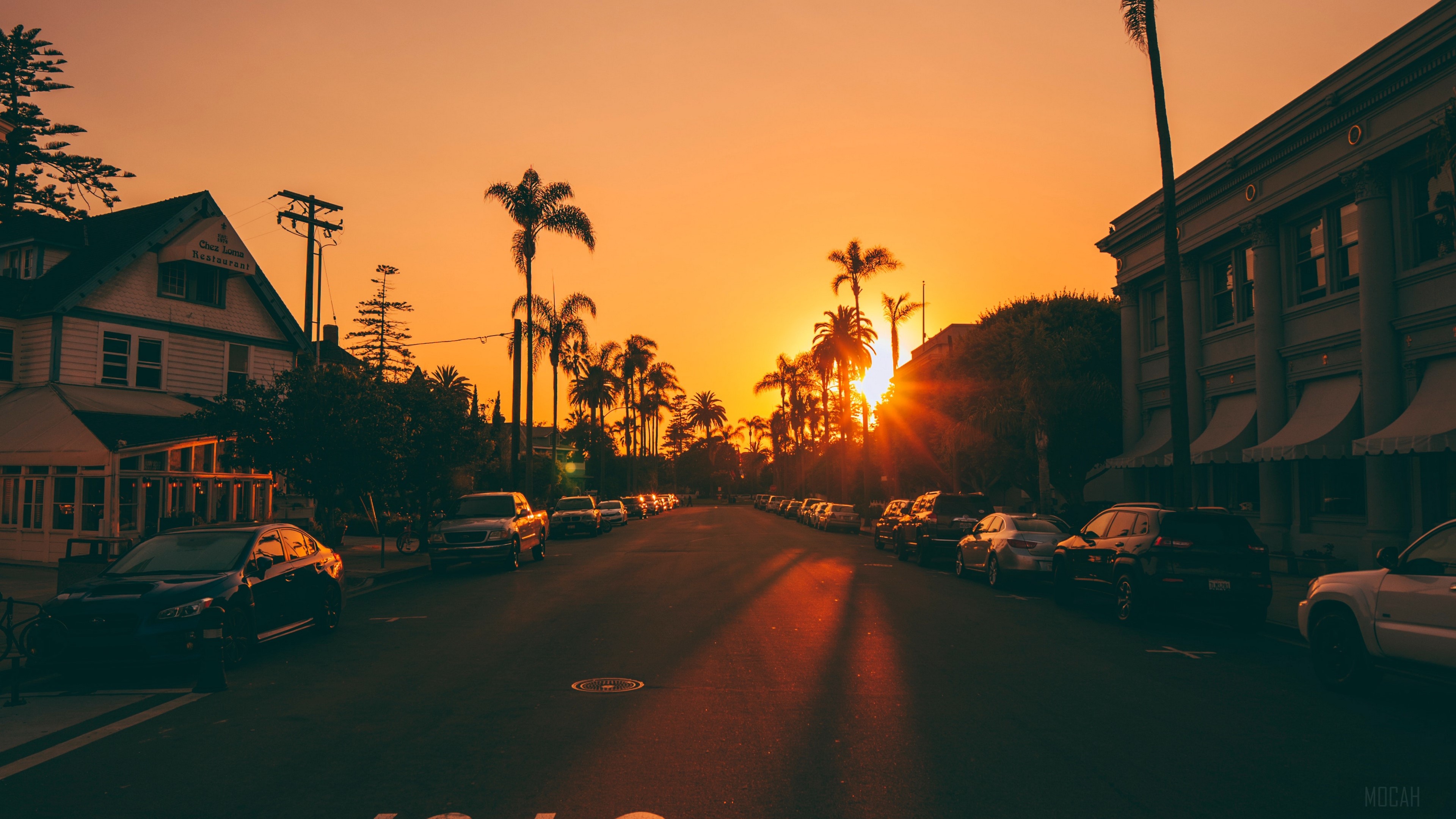 street, sunset, palm trees, road, road signs, cars 4k Gallery HD Wallpaper
