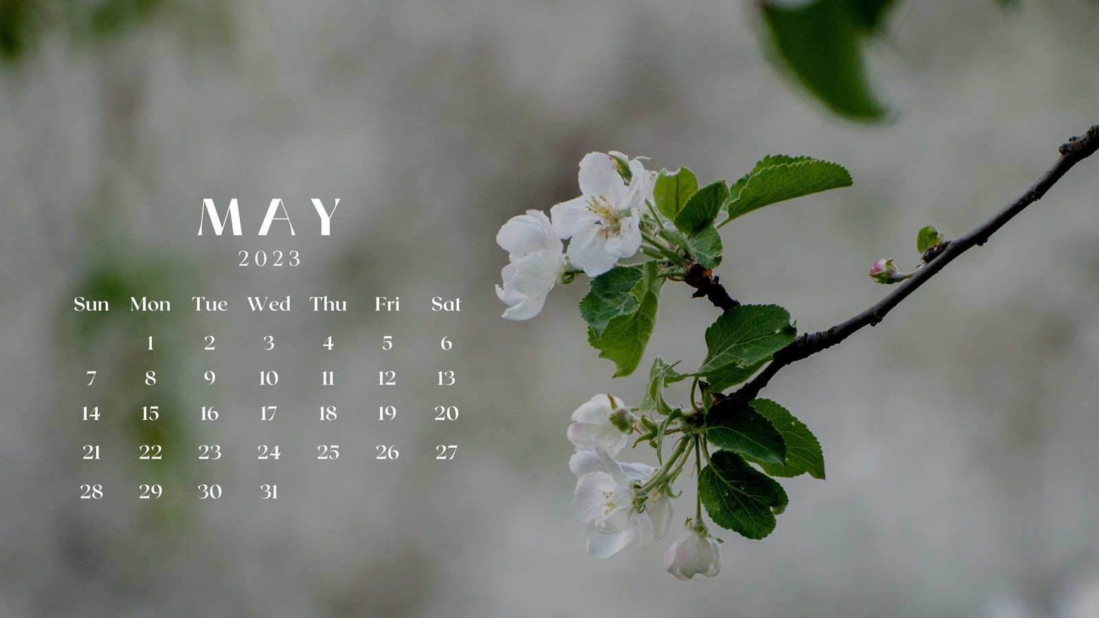 Download Escape the everyday and explore the wonders of the universe with  the May 2021 Aesthetic Galaxy Calendar Wallpaper  Wallpaperscom