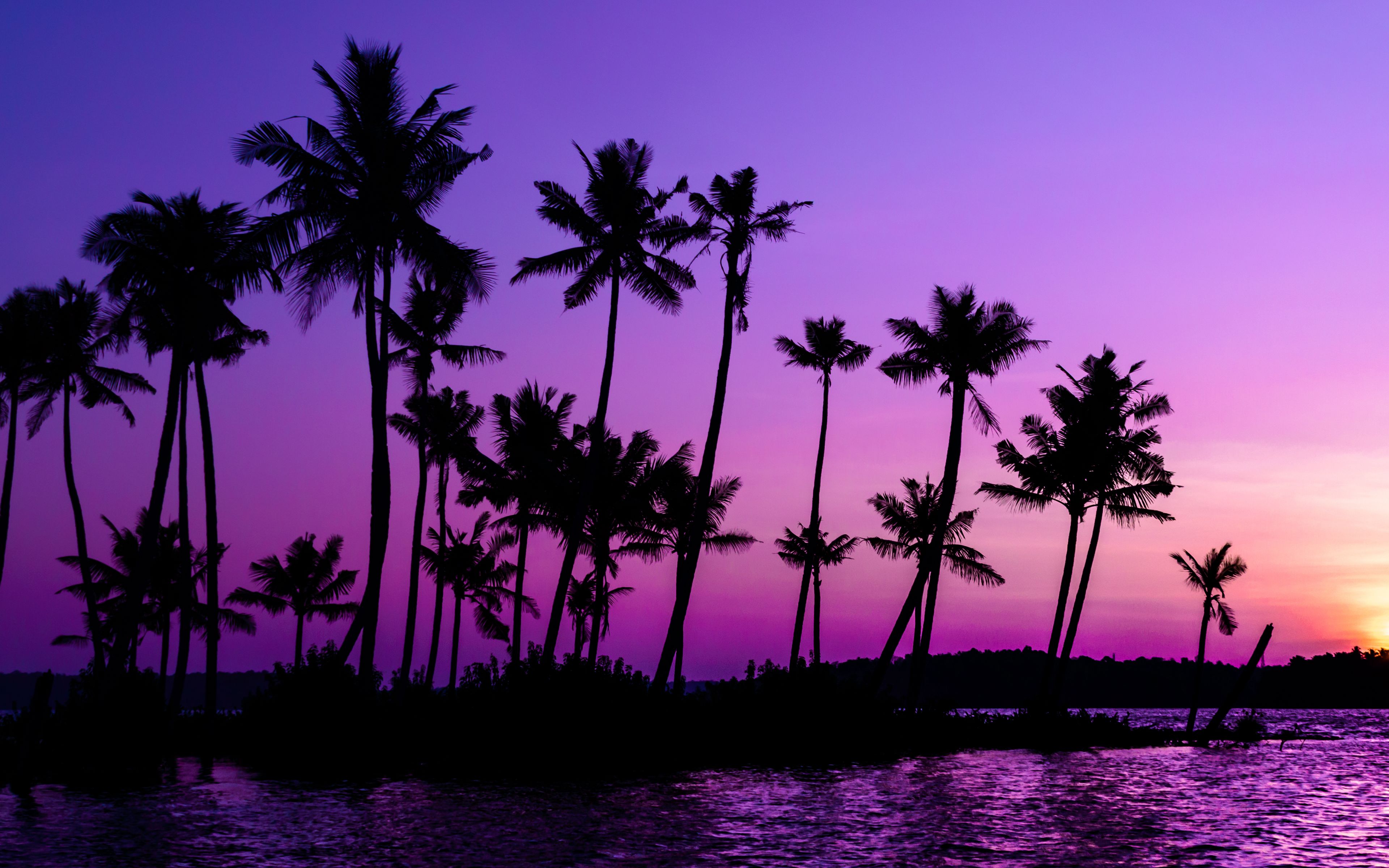 Download wallpaper 3840x2400 palm trees, silhouette, sunset, purple 4k ultra HD 16:10 HD background