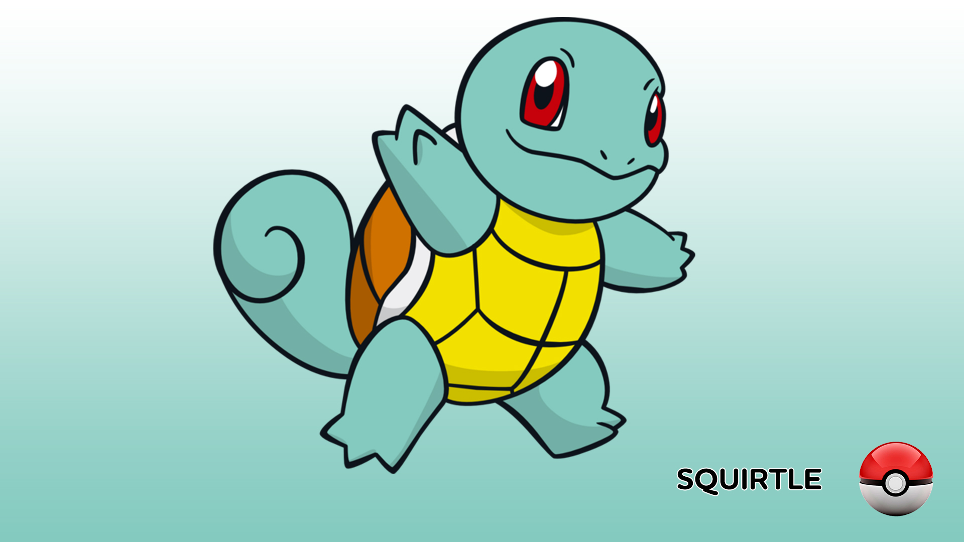 Free download squirtle wallpaper Gallery [1920x1080] for your Desktop, Mobile & Tablet. Explore Squirtle HD Wallpaper. Squirtle Wallpaper, Snow Wallpaper Hd, HD Wallpaper