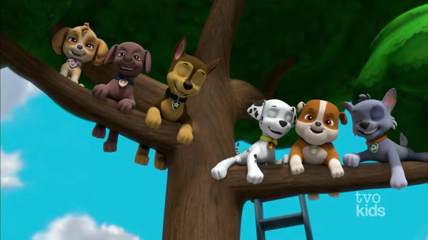 Rocky Gallery Moto Pups: Rescue At Twisty Top Mesa. Paw Patrol Party, Paw Patrol Pups, Rubble Paw Patrol