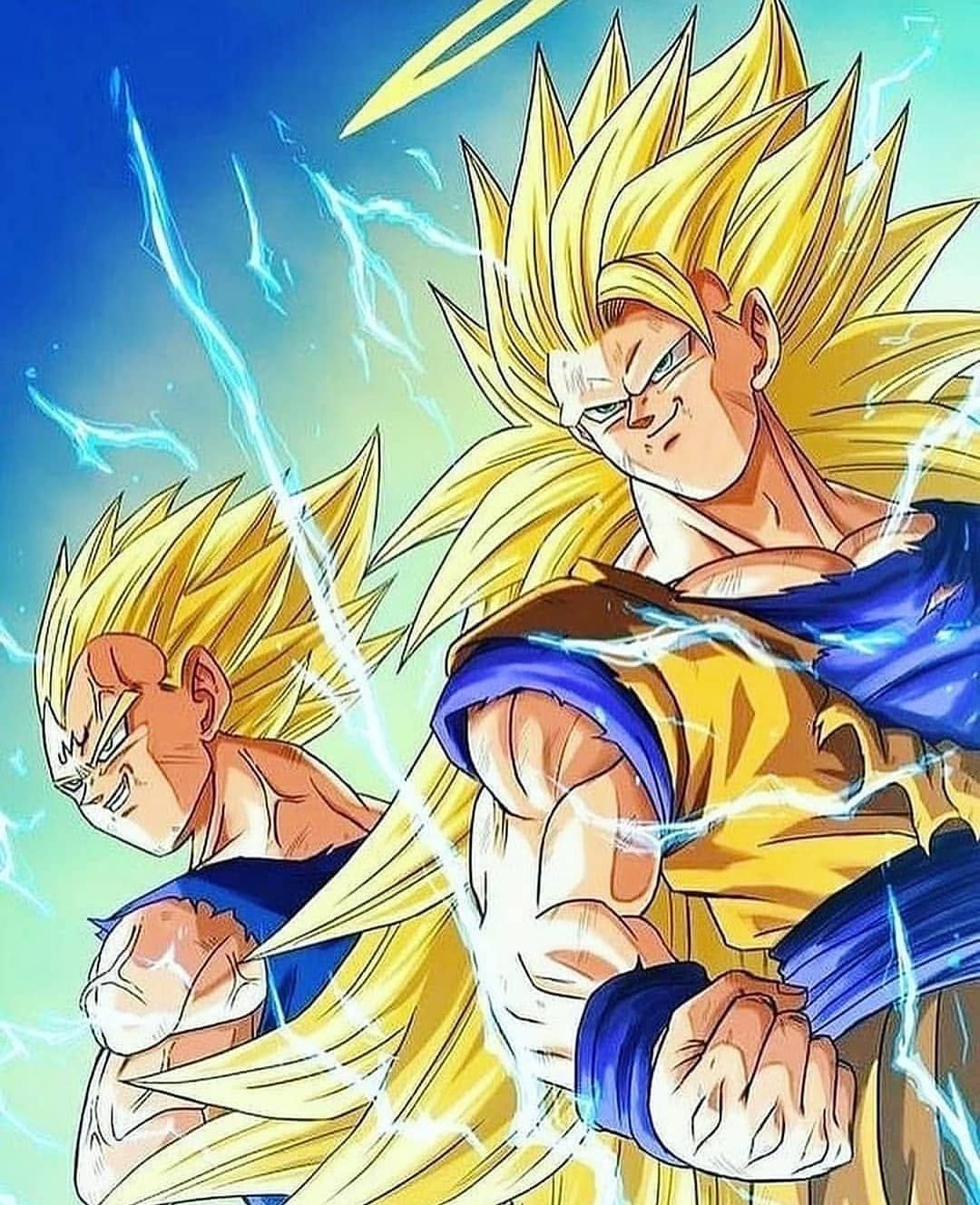 Super Saiyan 3 Goku + Super Saiyan 2 Vegeta. 