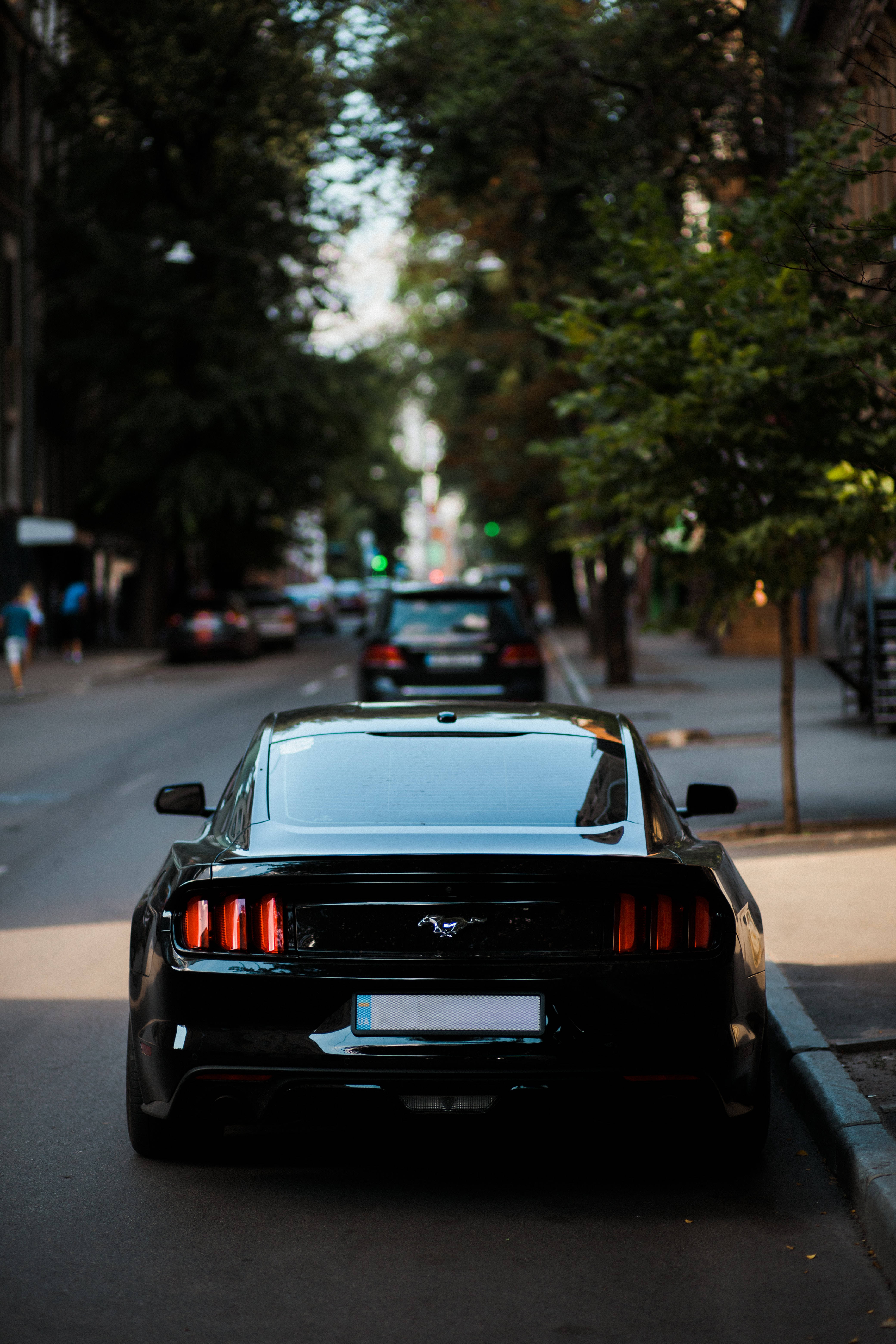 Download Mustang Wallpaper