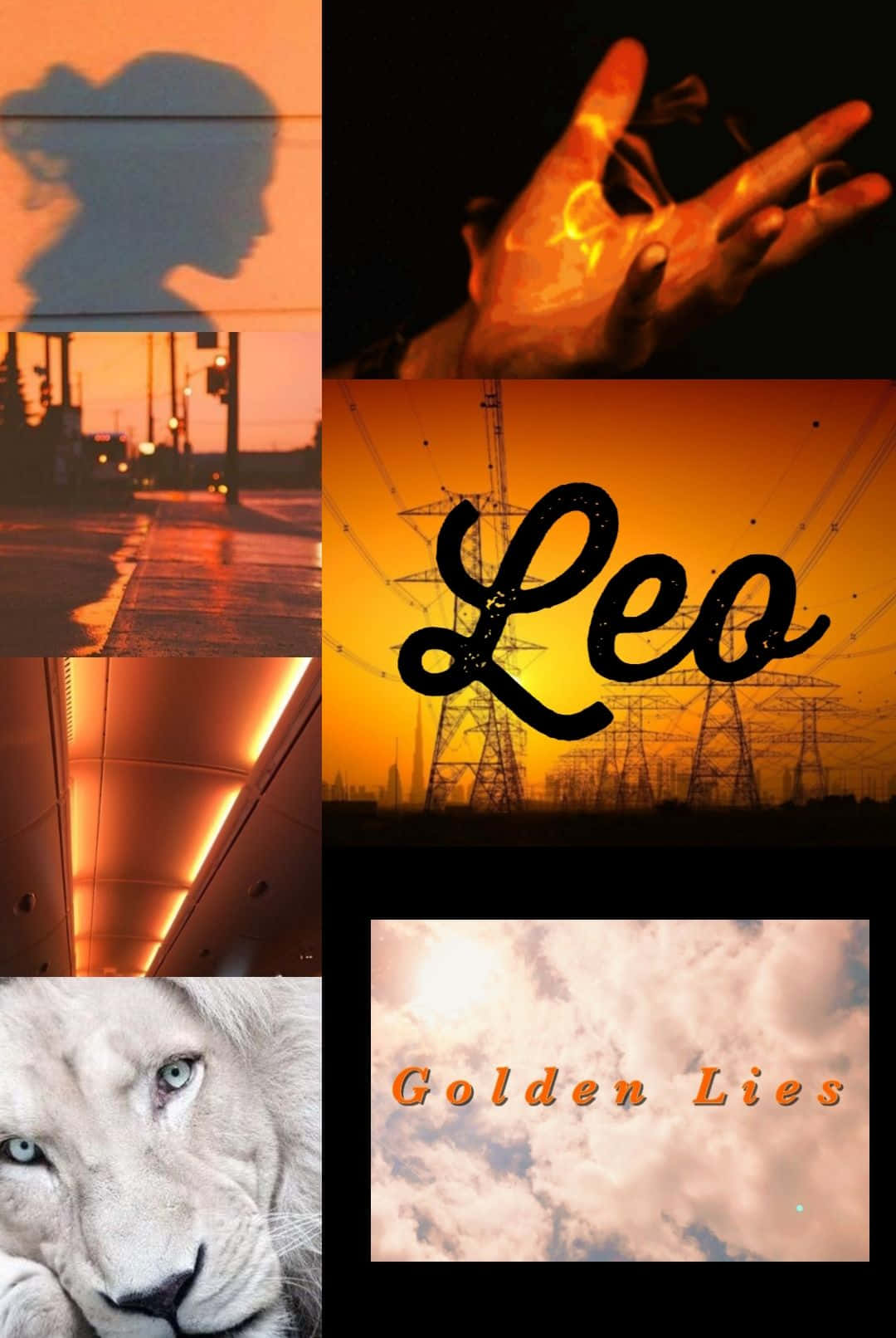 Leo Aesthetic Wallpaper