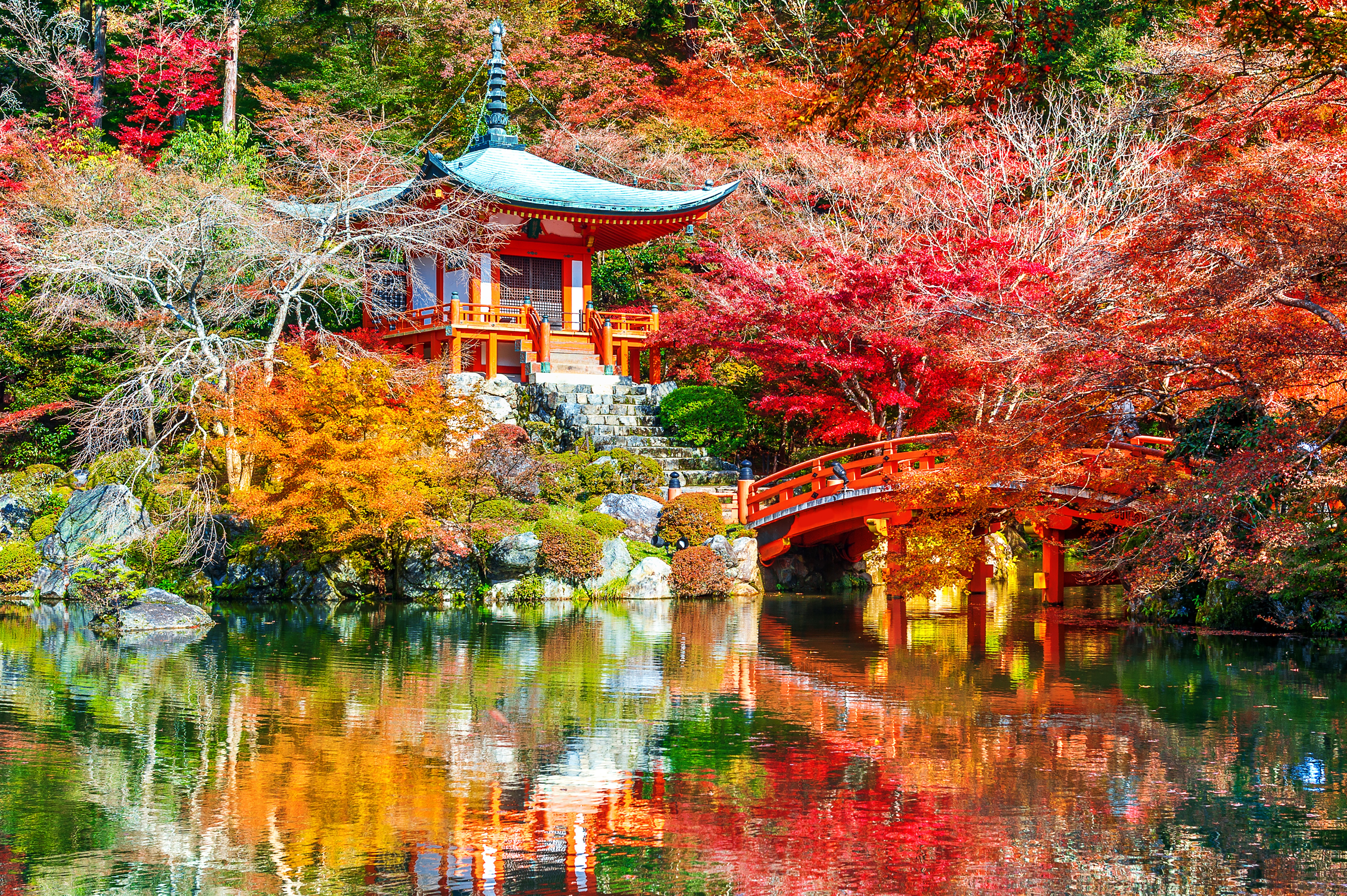 Kyoto 4K, Kyoto, Park, Bridge, Japan, Nature, Lake, Fall Gallery HD Wallpaper