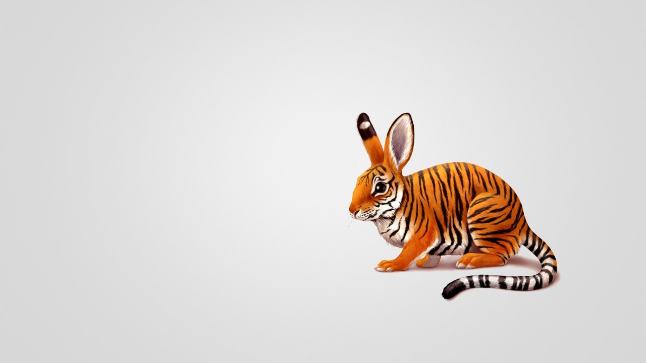 Tiger Bunny Funny wallpaper. Tiger Bunny Funny