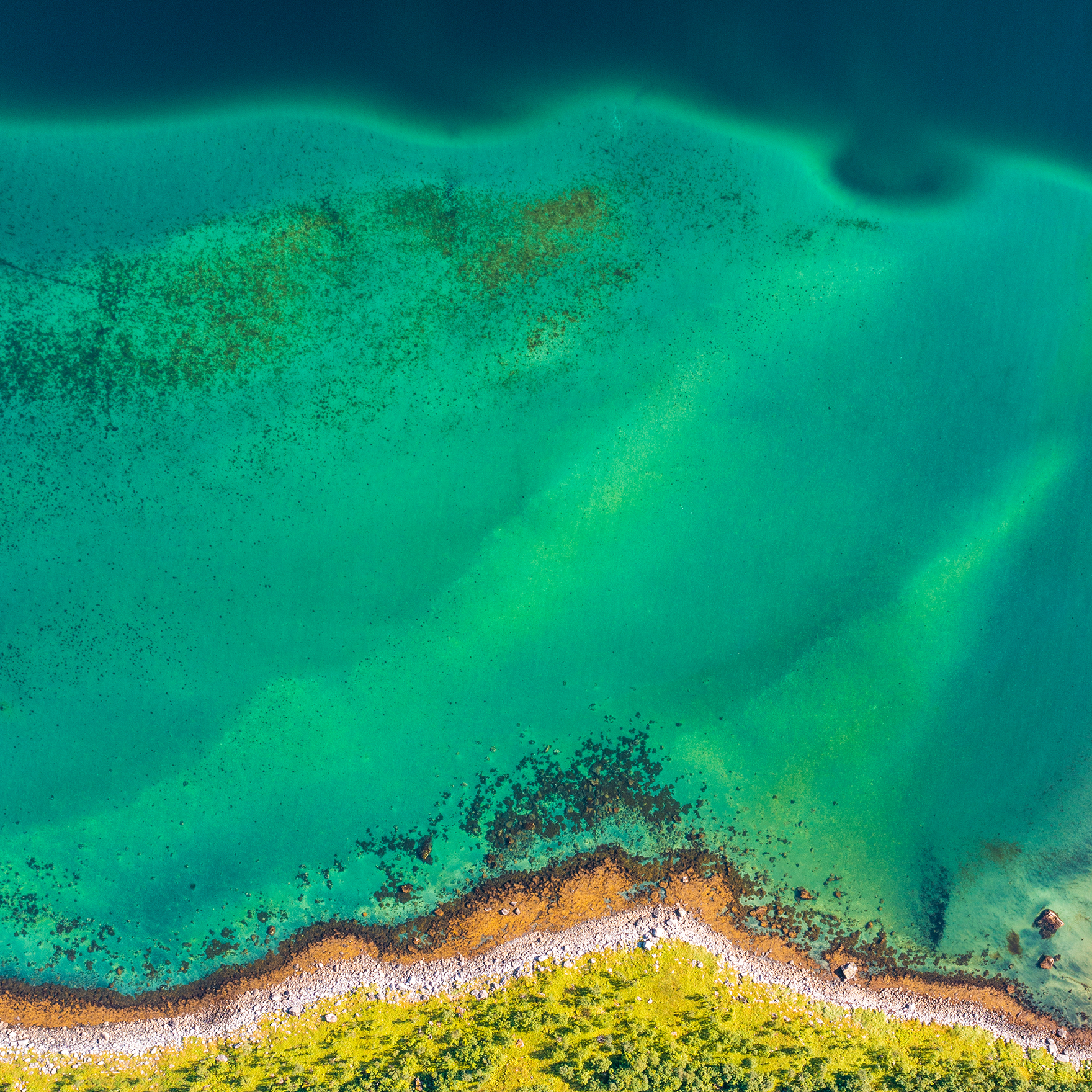 Nokia G11 Plus wallpaper