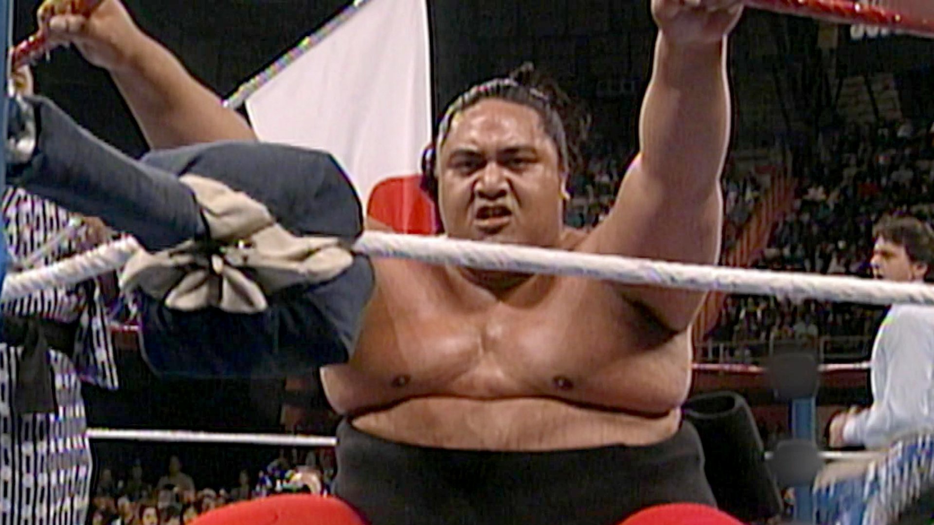 Yokozuna Wallpapers - Wallpaper Cave