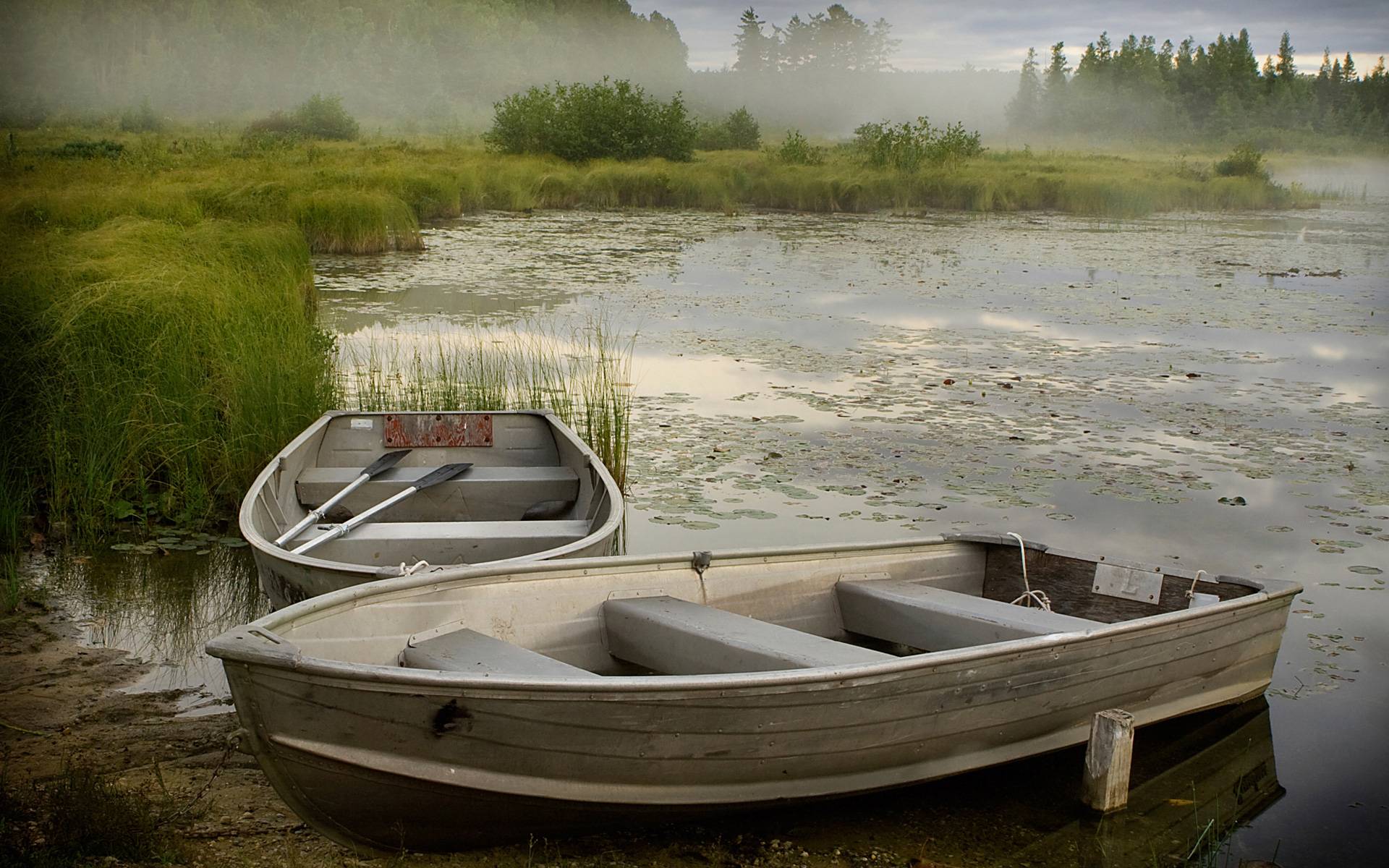 Download Row Boat Fog Lake Vehicle Boat HD Wallpaper