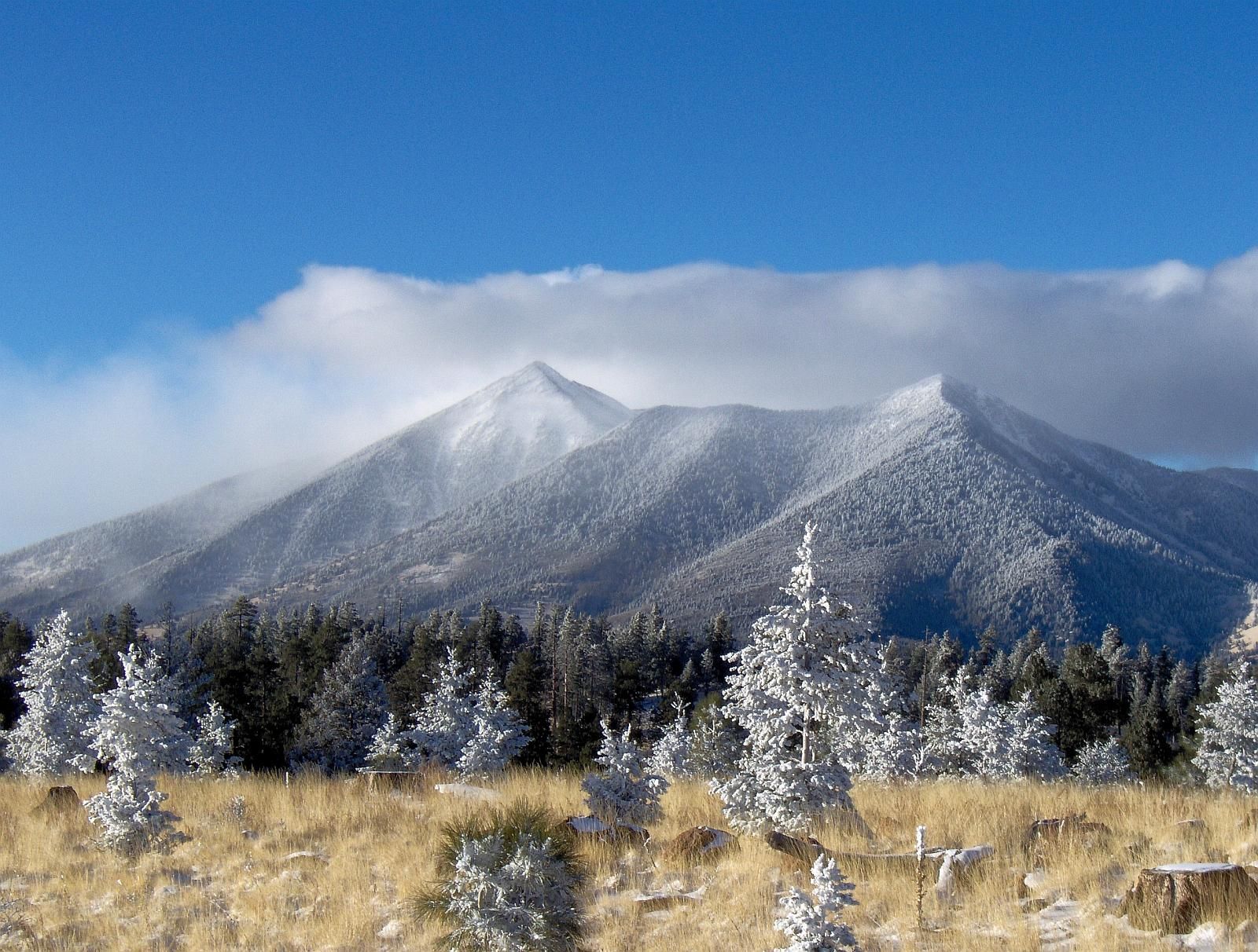 The San Francisco peaks of flagstaff