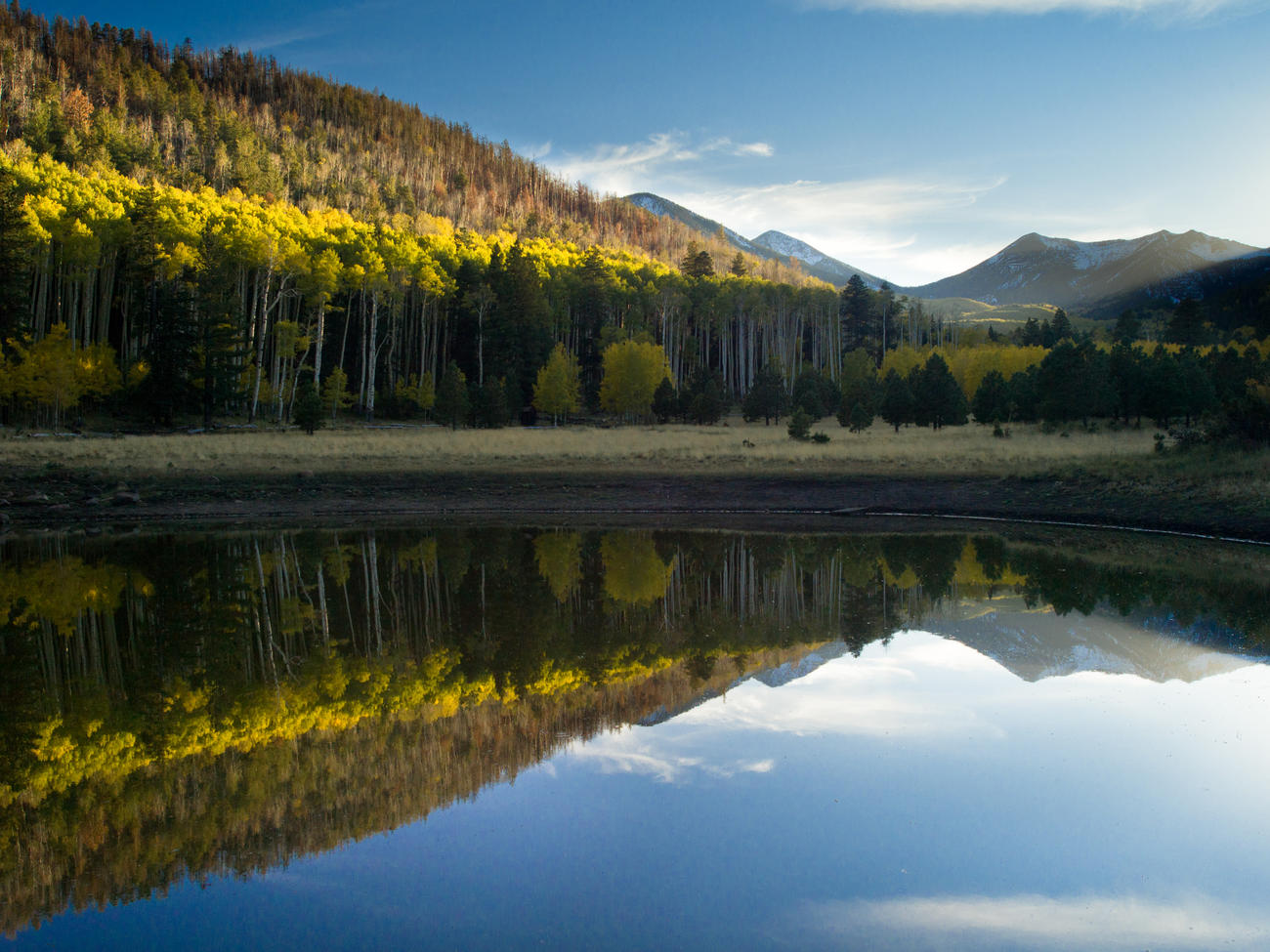 Experience Flagstaff's fall