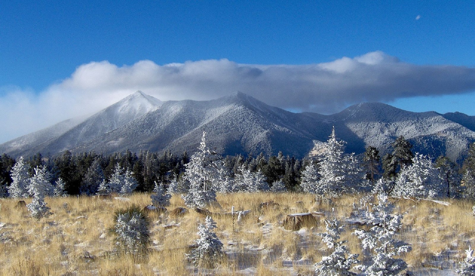 San francisco peaks, volcanic, landscape