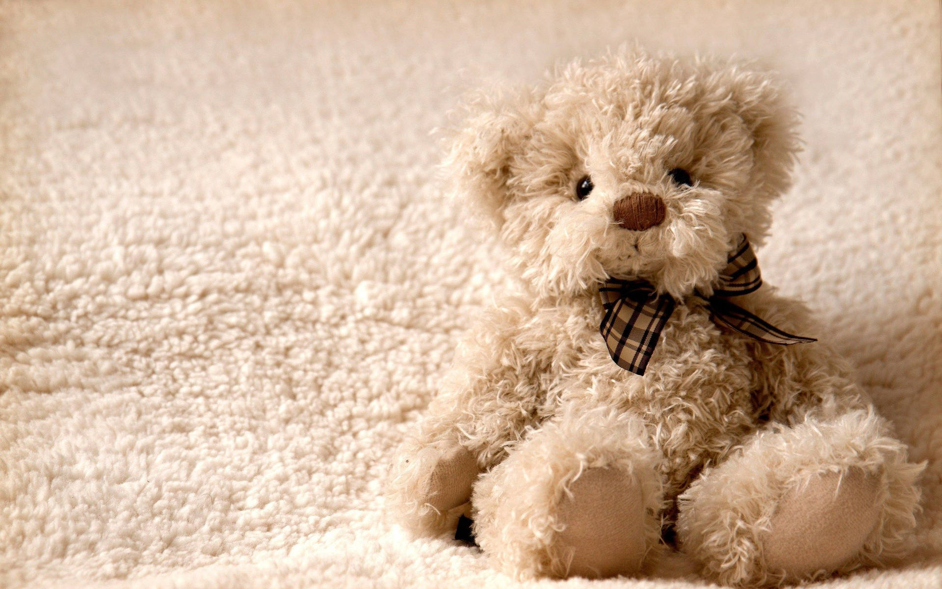 Teddy Bear HD Wallpaper, Free Teddy Bear Wallpaper Image For All Devices
