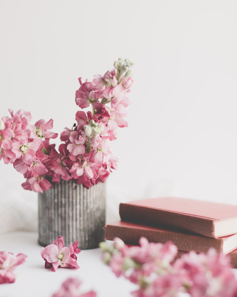 Pink Book Picture. Download Free Image
