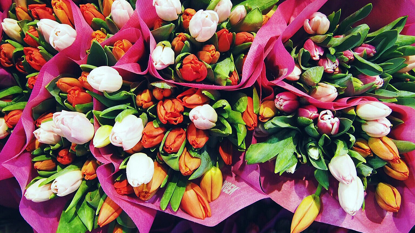 wallpaper for desktop, laptop. flower summer spring nature